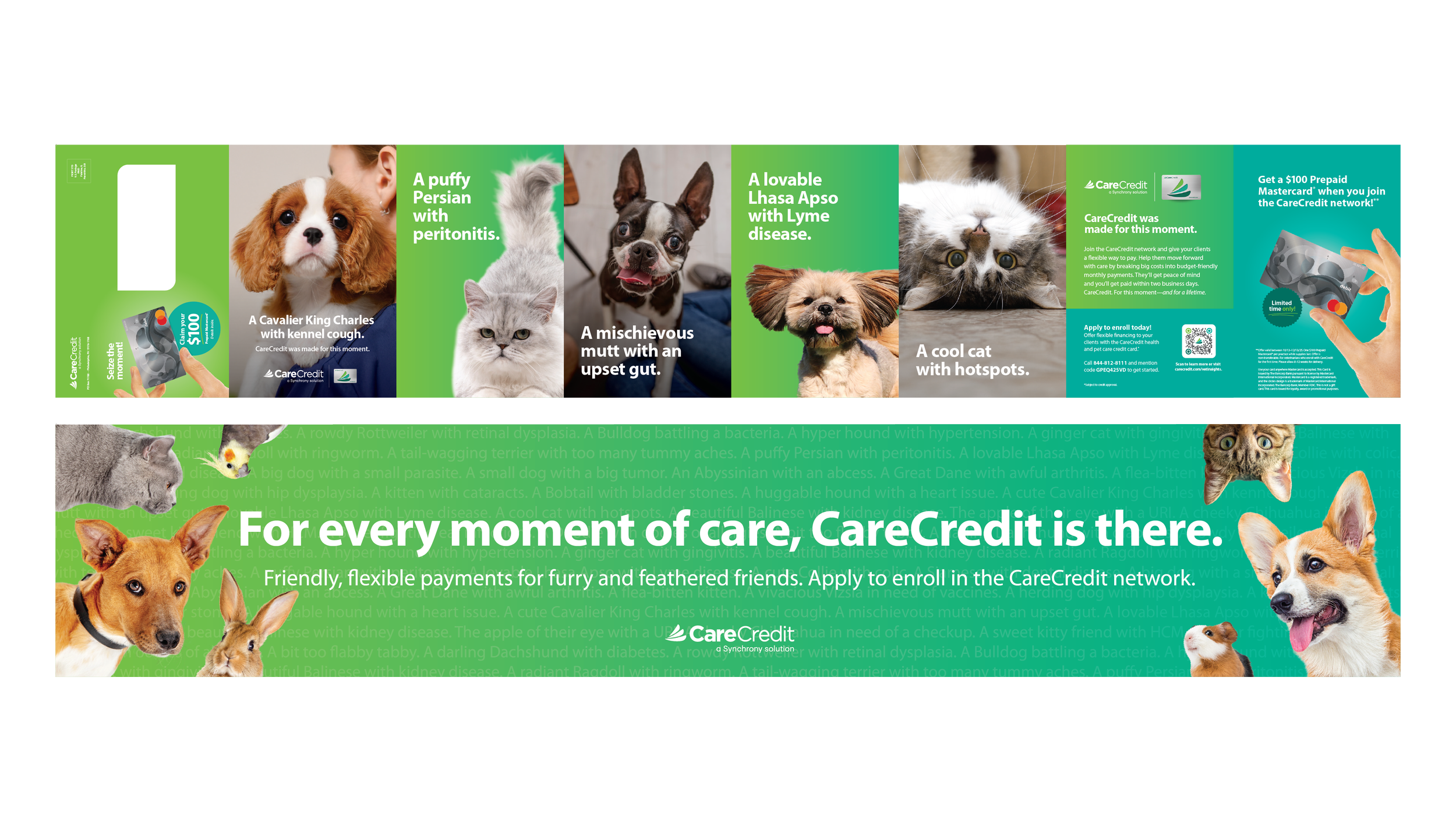 11137438_Vet_CO_IRLQ2Enrollment DM_Mar25_Drop2_062325-13.png