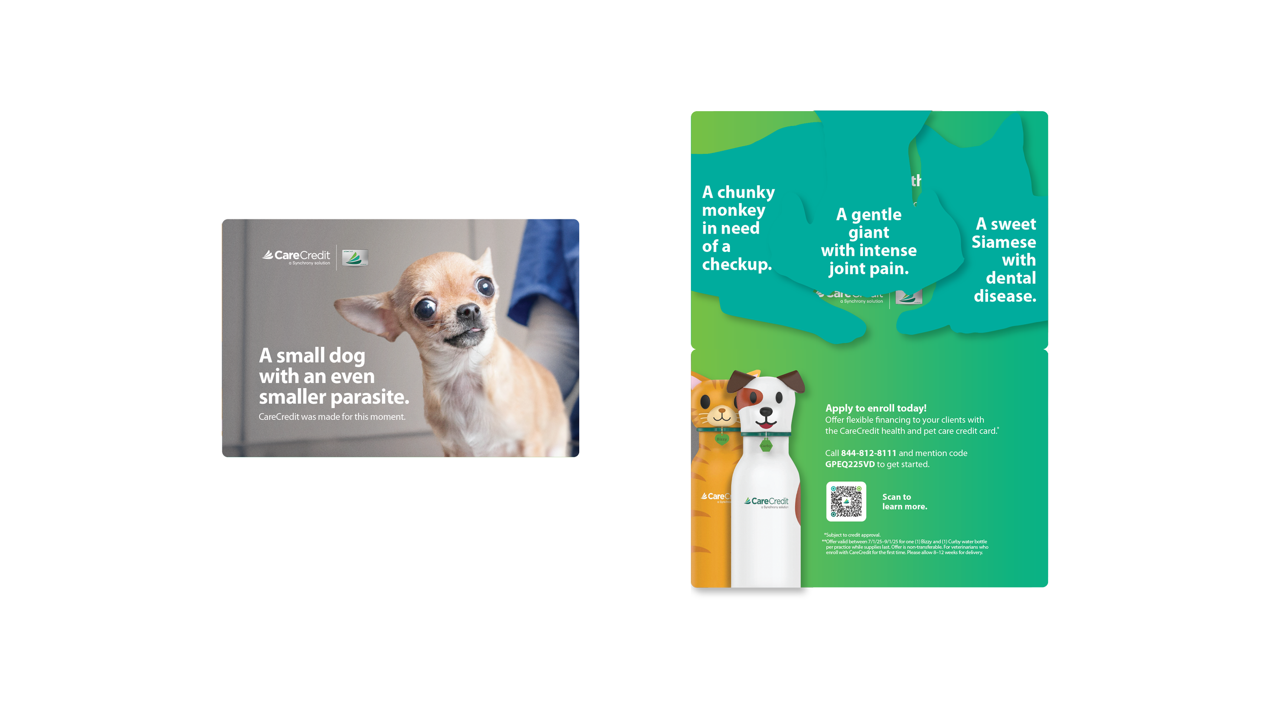 11137438_Vet_CO_IRLQ2Enrollment DM_Mar25_Drop2_062325-04.png