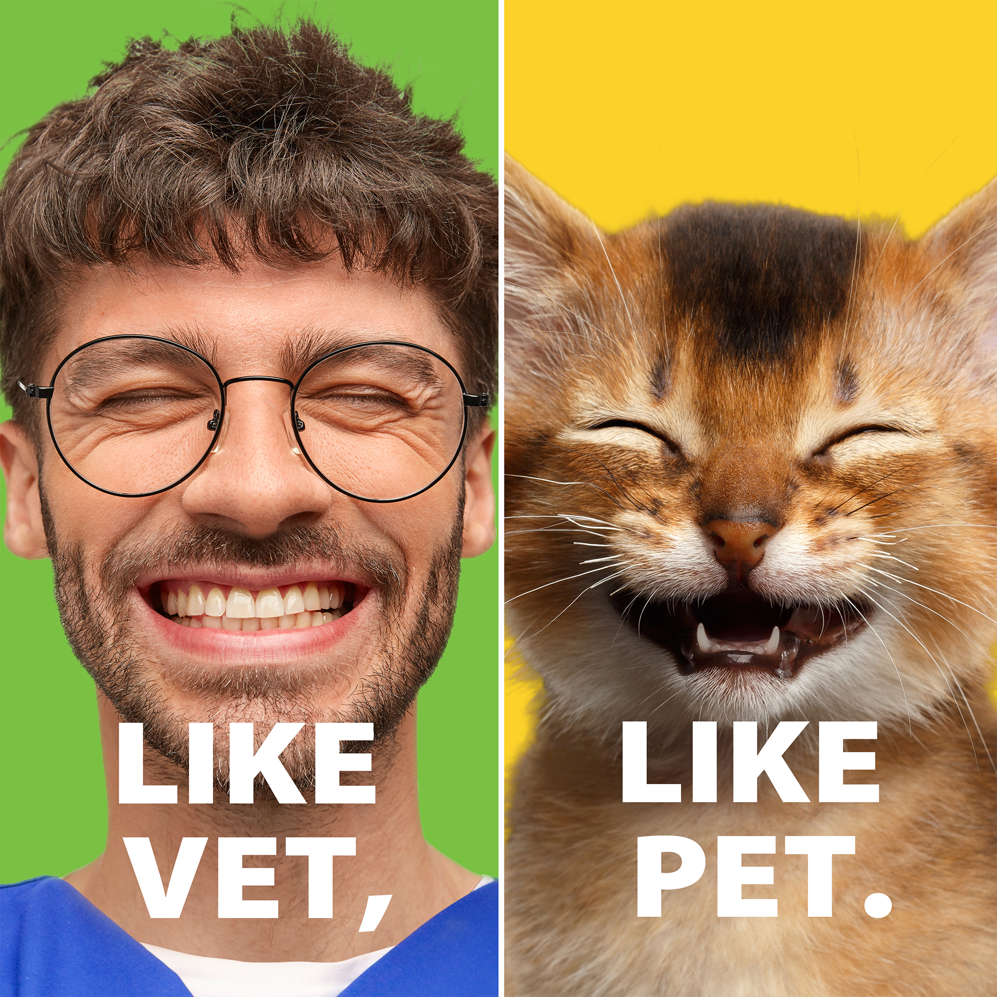 10393594-CC_Social_February_B2B_LI_Organic_Social_VetsWhoLookLikePets.png
