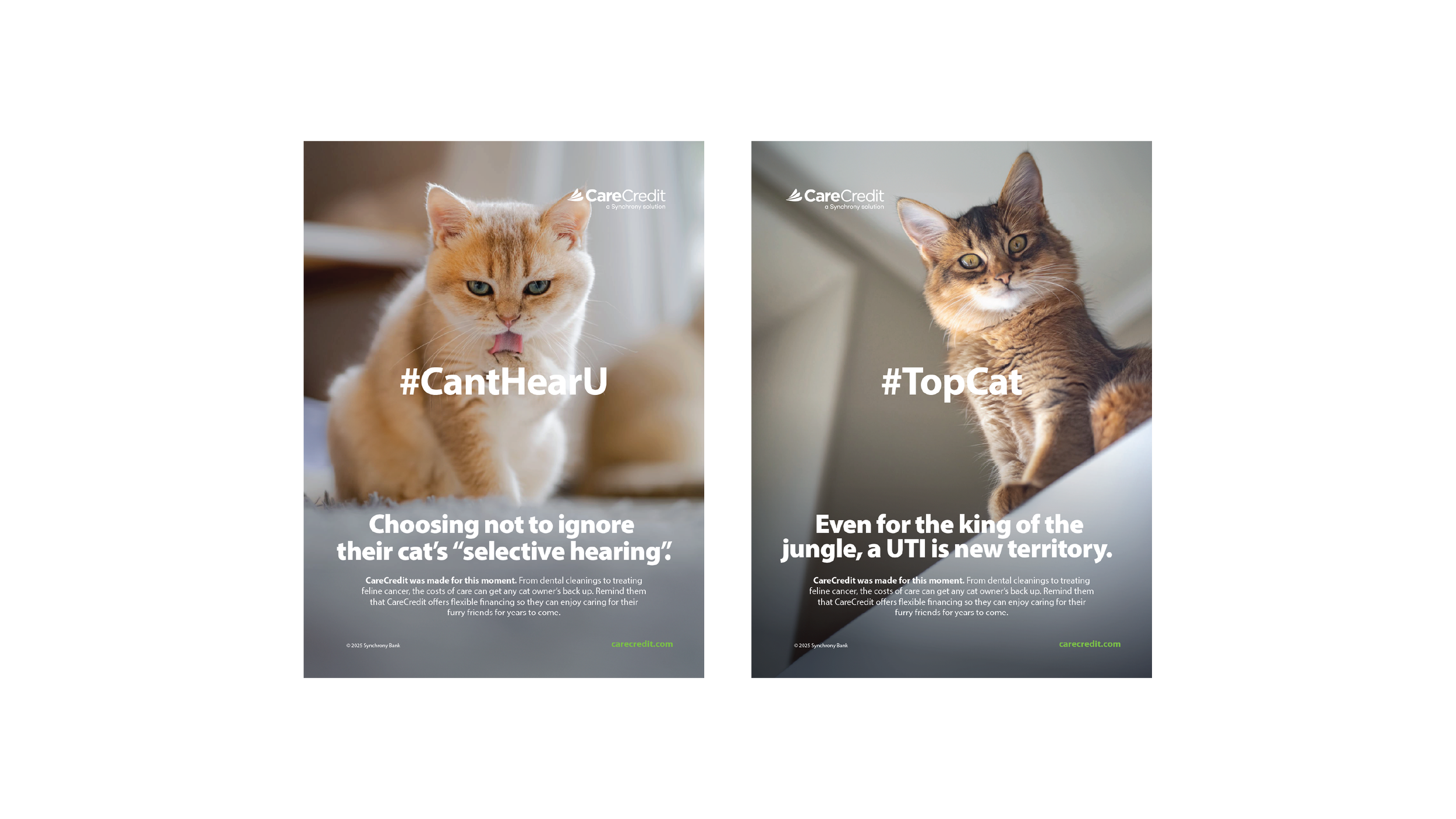 11137438_Vet_CO_IRLQ2Enrollment DM_Mar25_Drop2_062325-08.png