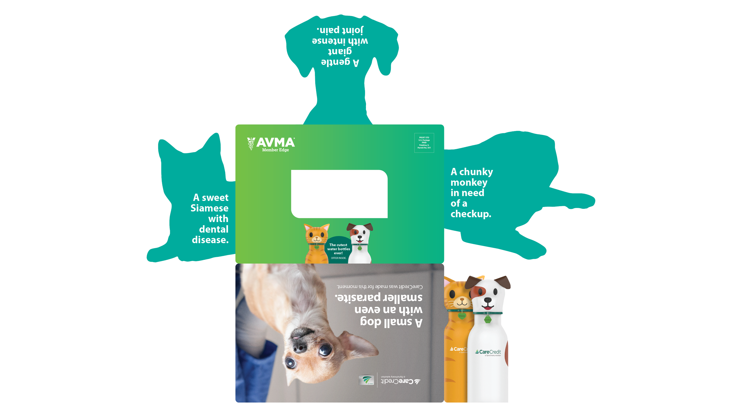 11137438_Vet_CO_IRLQ2Enrollment DM_Mar25_Drop2_062325-06.png