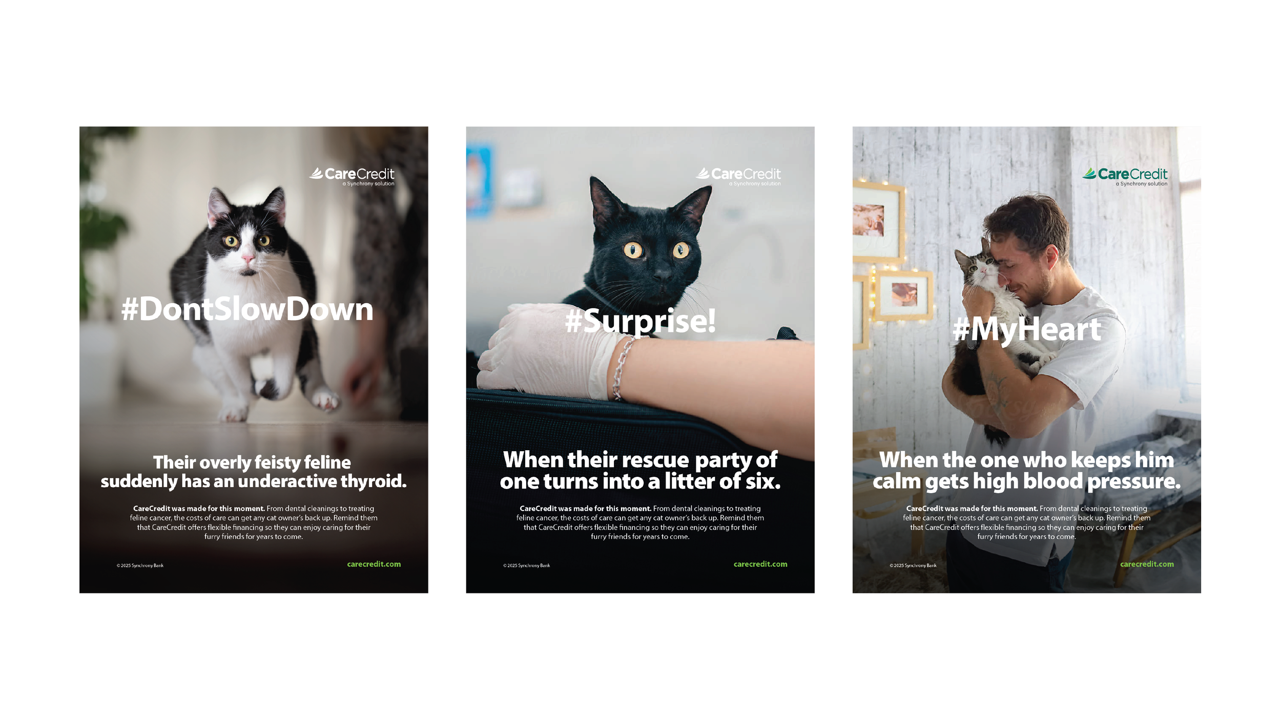 11137438_Vet_CO_IRLQ2Enrollment DM_Mar25_Drop2_062325-07.png