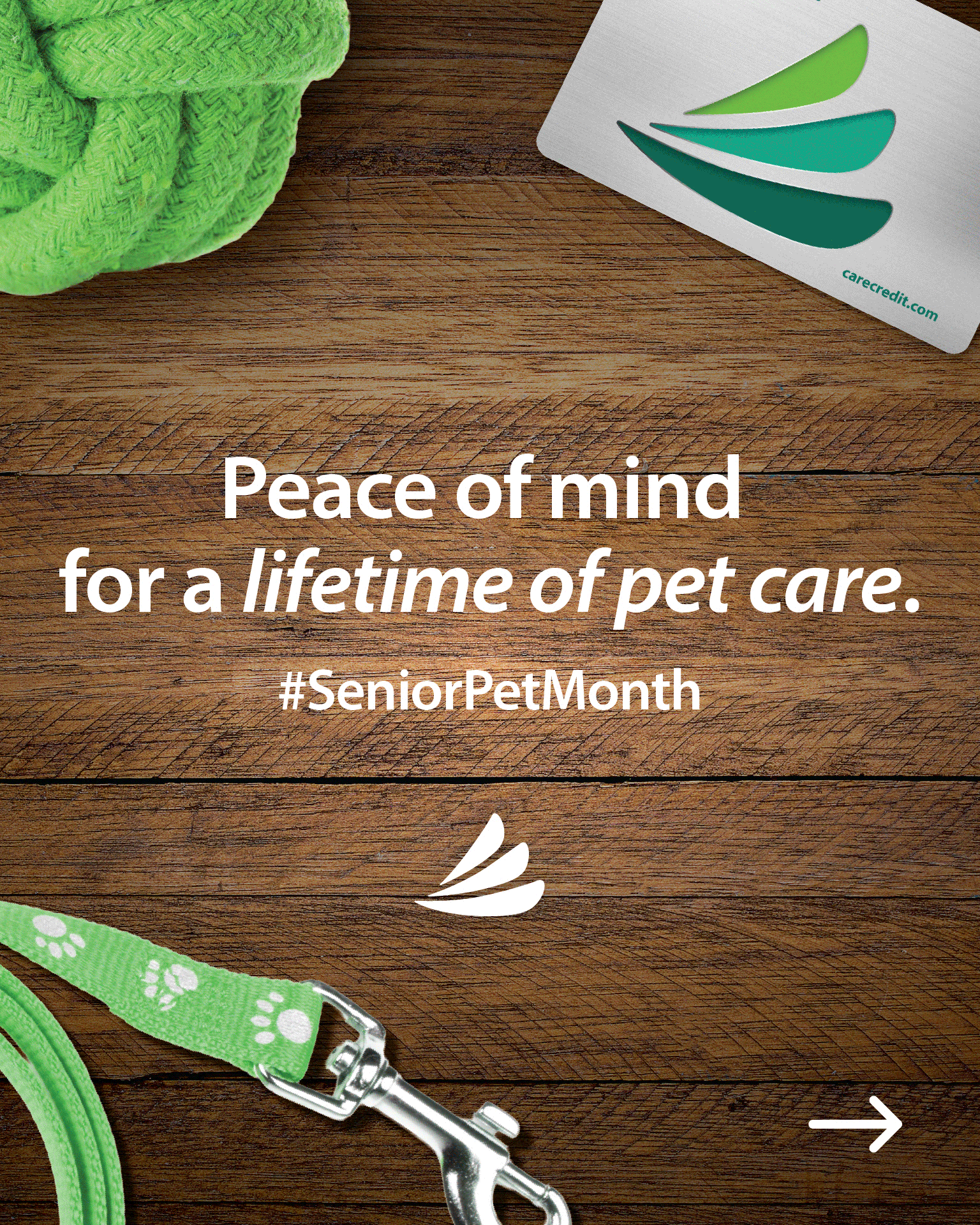 NovemberSocialMedia_SeniorPet_111925-01.gif