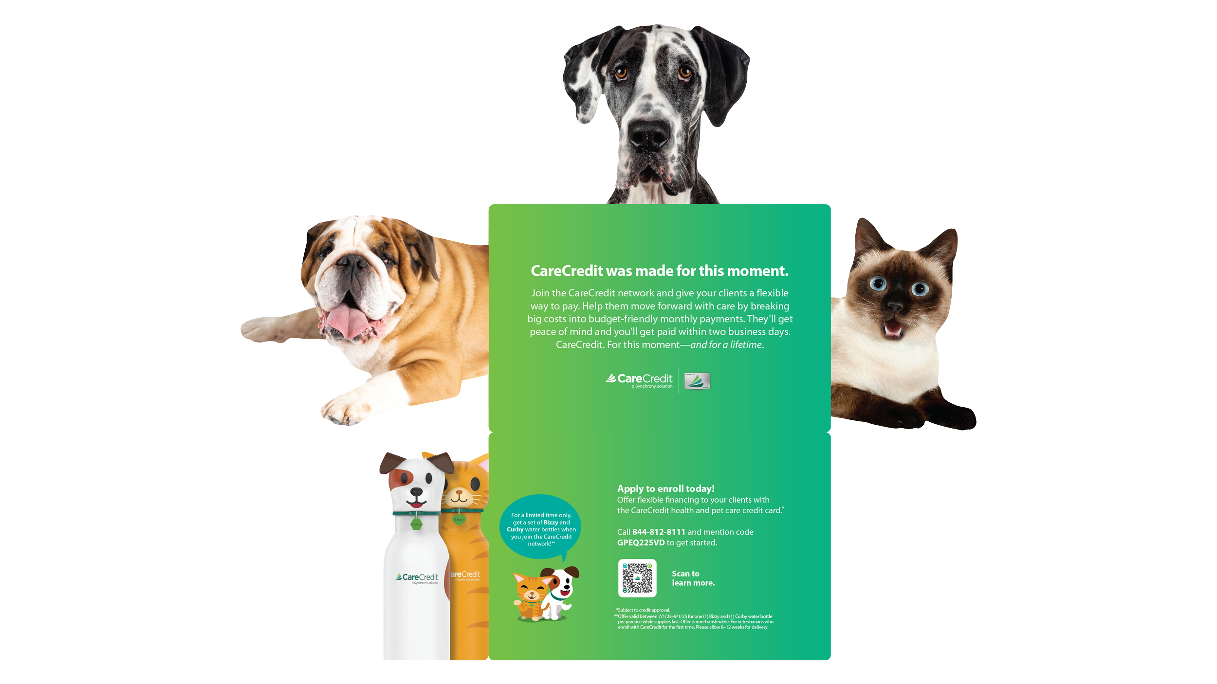 11137438_Vet_CO_IRLQ2Enrollment DM_Mar25_Drop2_062325-05.png