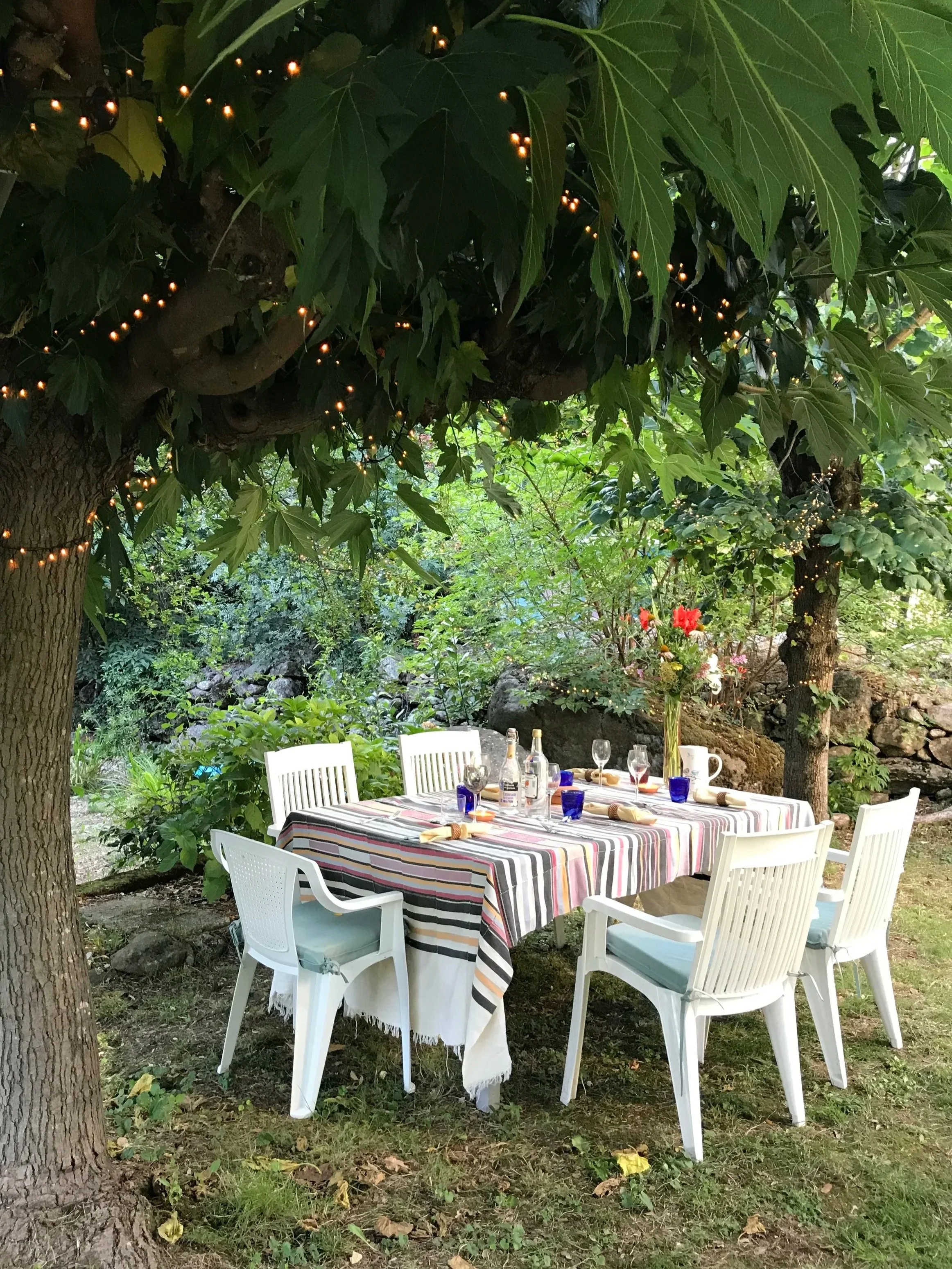 Al fresco dining table set under the mulberry tree with fairy lights