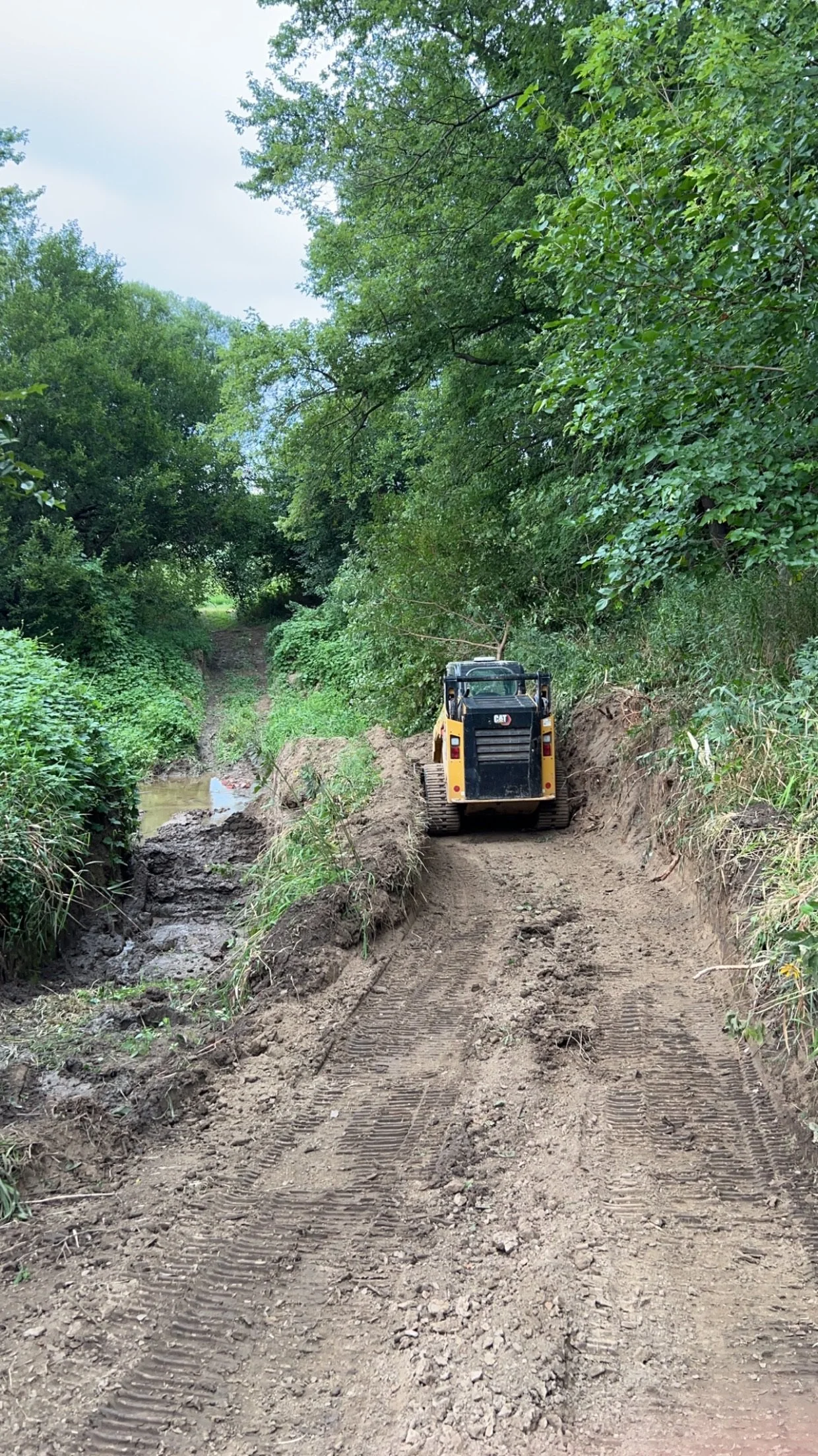 Construction site with a small yellow and black CAT bulldozer working on a dirt pathway surrounded by green trees and bushes.