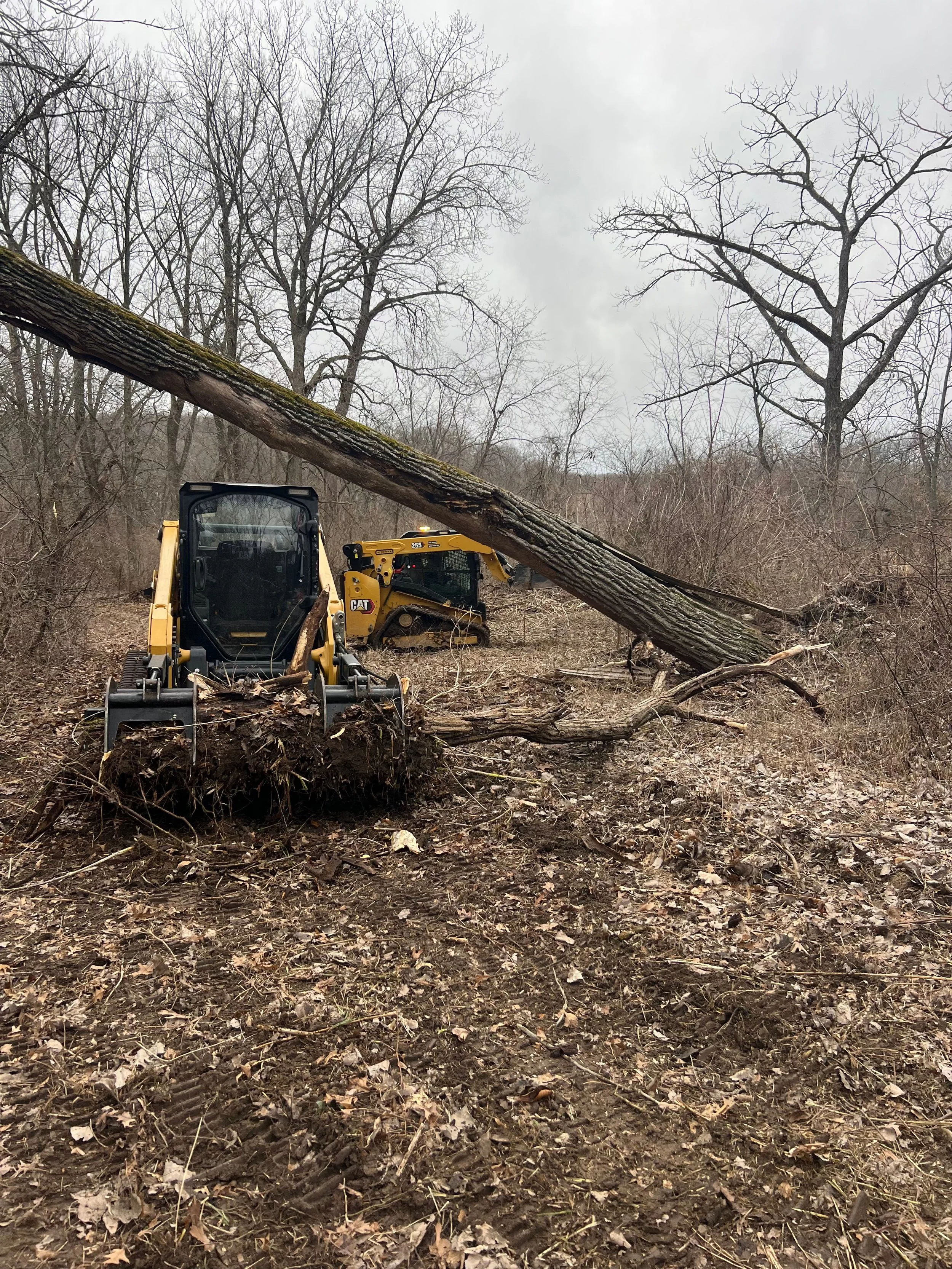 A yellow Caterpillar compact track loader with a black front scoop on a grassy field with trees and open sky in the background.