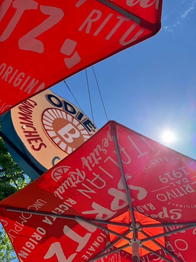 sunny with a 100% chance of sandwiches 
(and maybe a cold drink or two)
(and hopefully a few dogs)

📸: @odie.bs slamanthalynn @recip.blends  @alli_strong @bigassmaps @hanllane @mypal.rio @alliesfirstlight