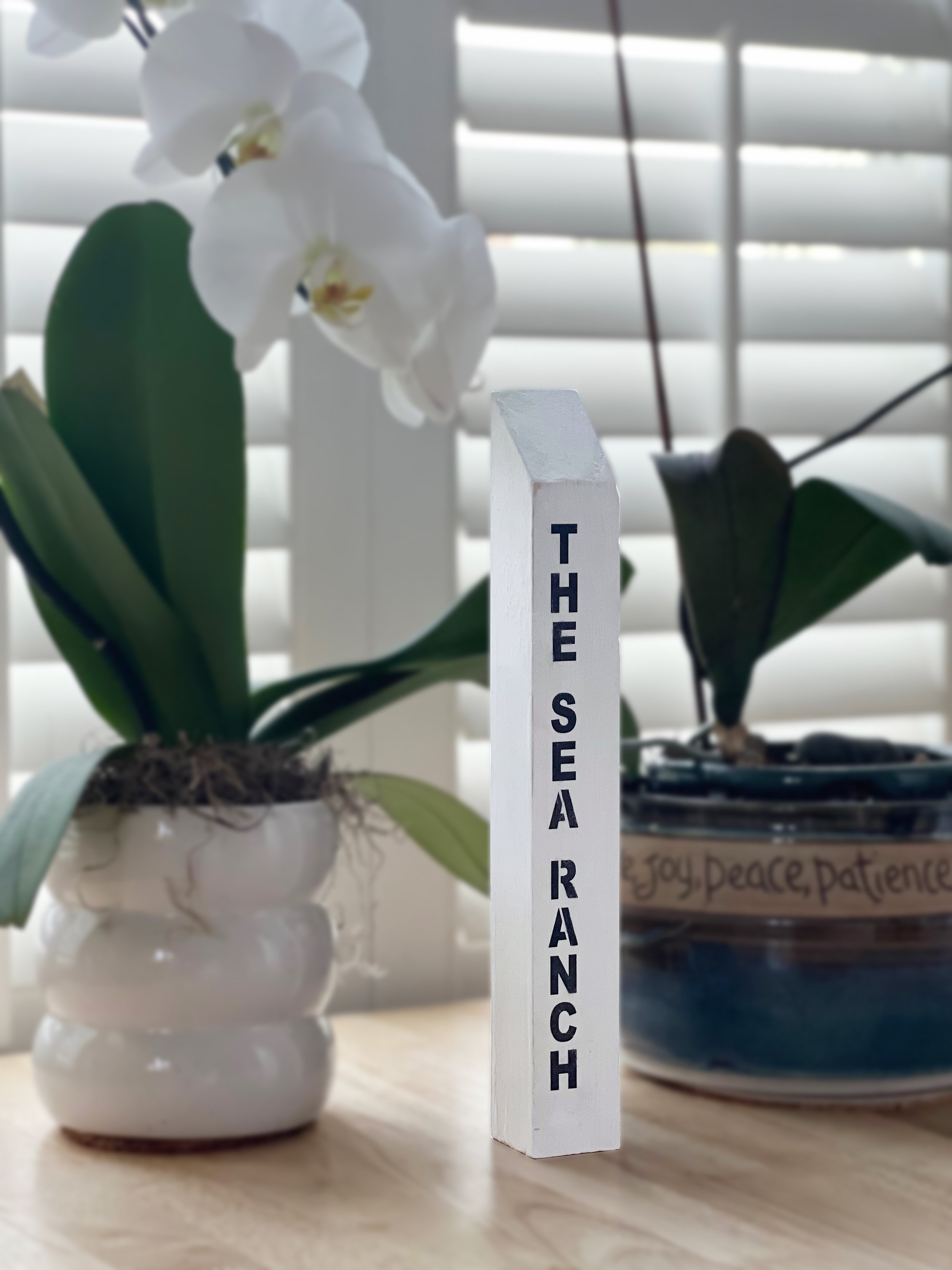 tsr_post_orchids.jpg