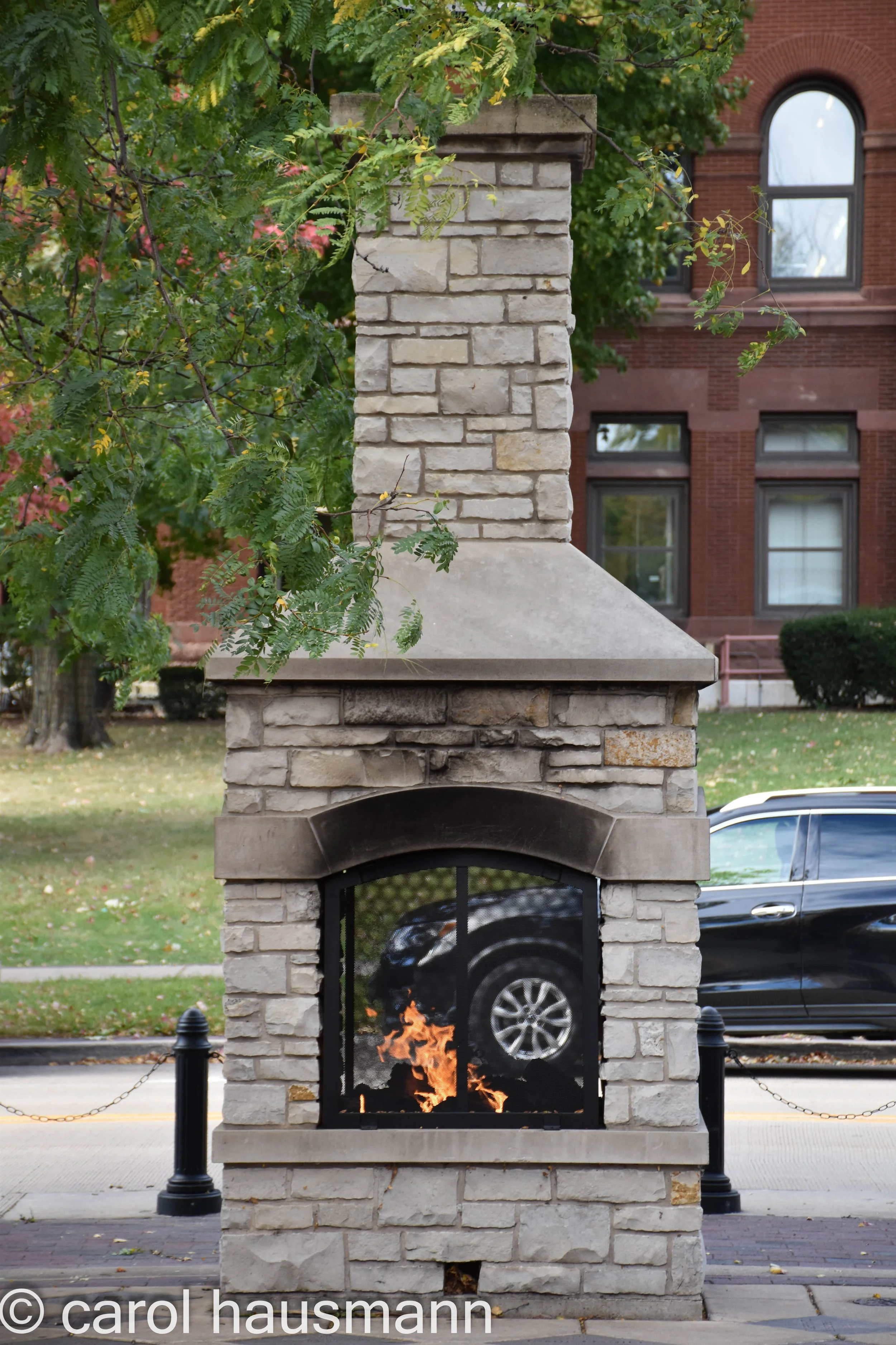 DSC_0106.jpg