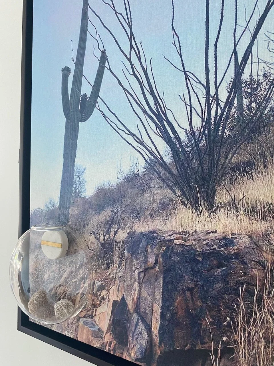 "Desert Dialogue"
Saguaro and ocotillo stand in silent conversation. Clear glass vessels invite reflection—mirroring how desert plants store and protect life in harsh environments.