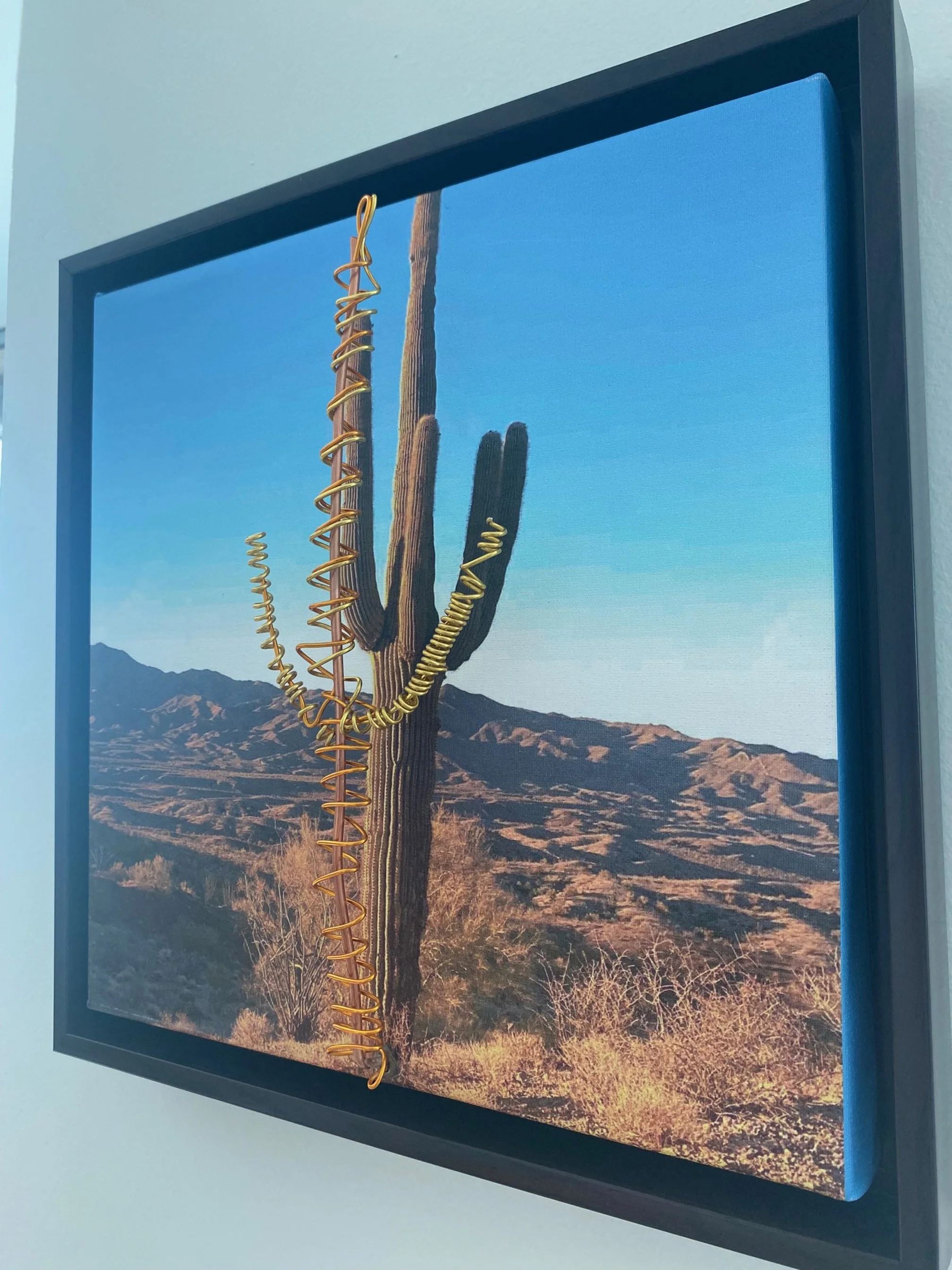 "Spiraling Strength"
A towering saguaro wrapped in copper wire evokes endurance and the steady, upward stretch toward light.