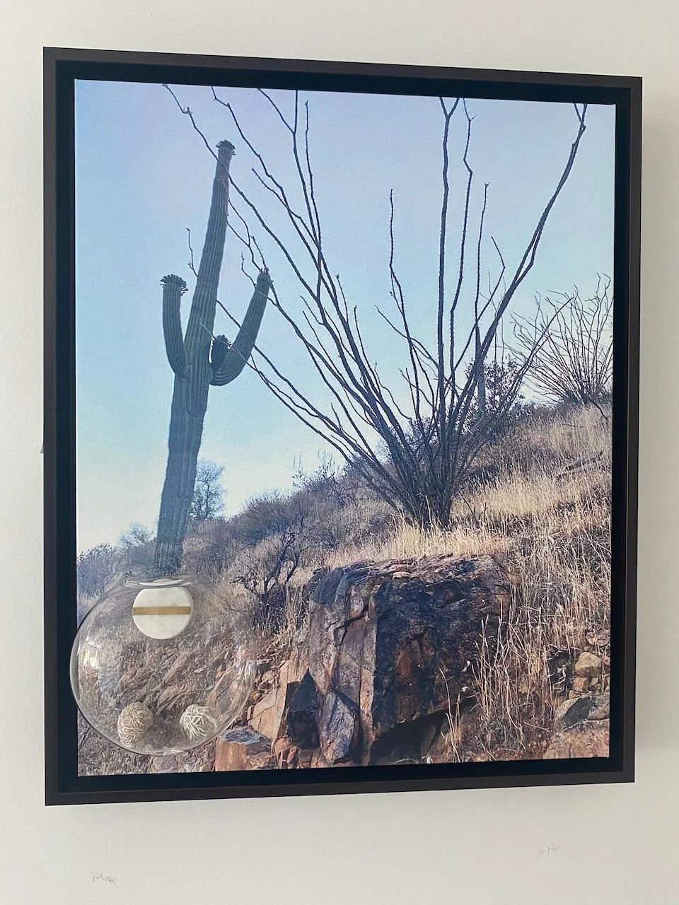 "Desert Dialogue"
Saguaro and ocotillo stand in silent conversation. Clear glass vessels invite reflection—mirroring how desert plants store and protect life in harsh environments.
