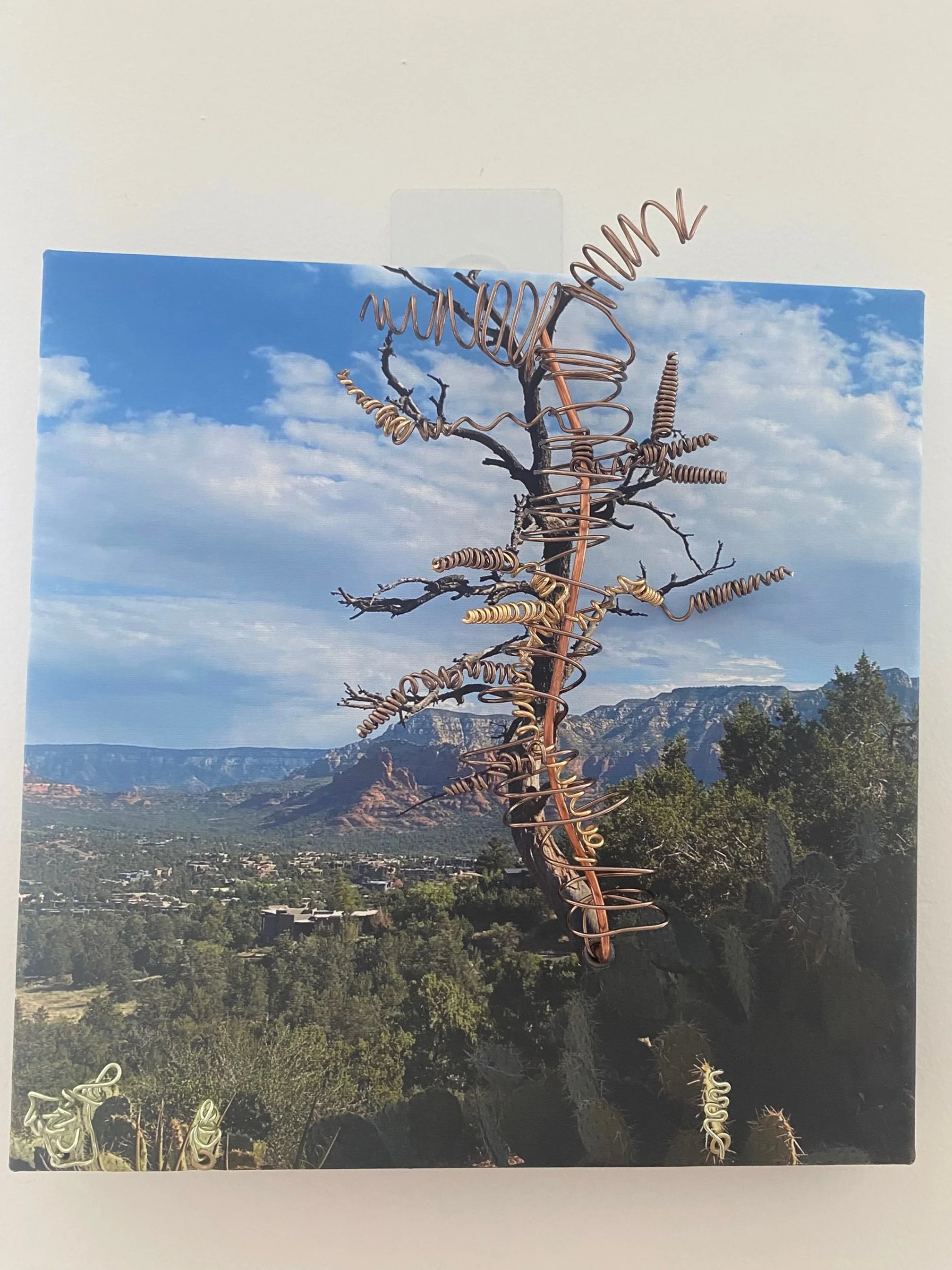 "Whispers of Sedona"
A twisted wire tree mirrors the wild formations of Sedona’s landscape, echoing the energy and movement of the region’s iconic red rocks.