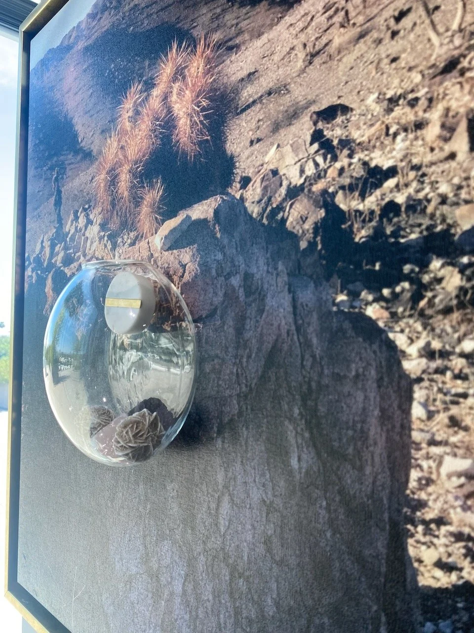 "Stonebound Resilience"
Rose quartz and desert rose crystals rest within a glass sphere—symbols of love, healing, and survival anchored in rocky terrain.