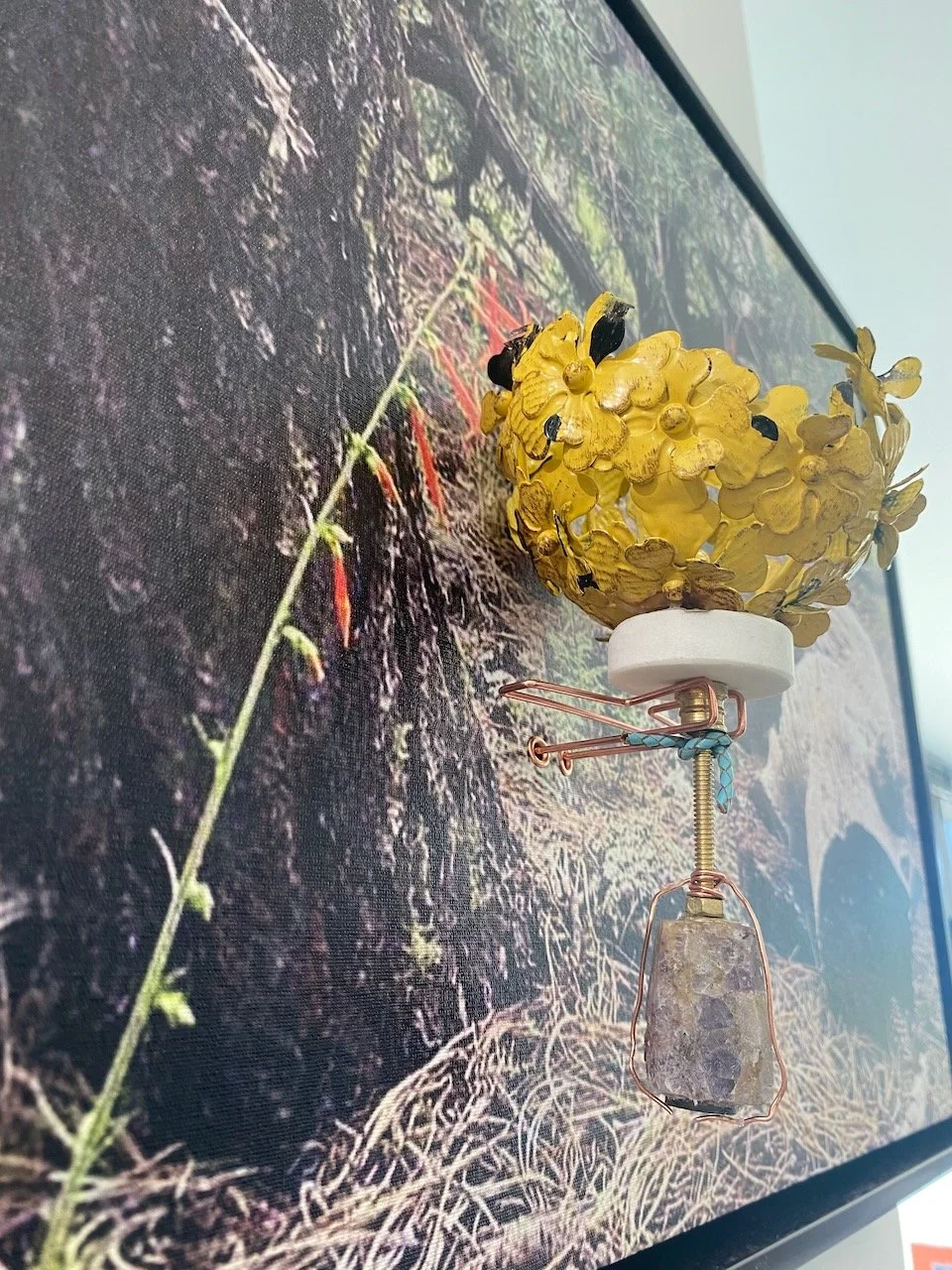 "Golden Stillness"
Bright yellow blossoms, carefully preserved and suspended, honor the fleeting beauty of seasonal desert blooms, a reminder of hope and renewal.