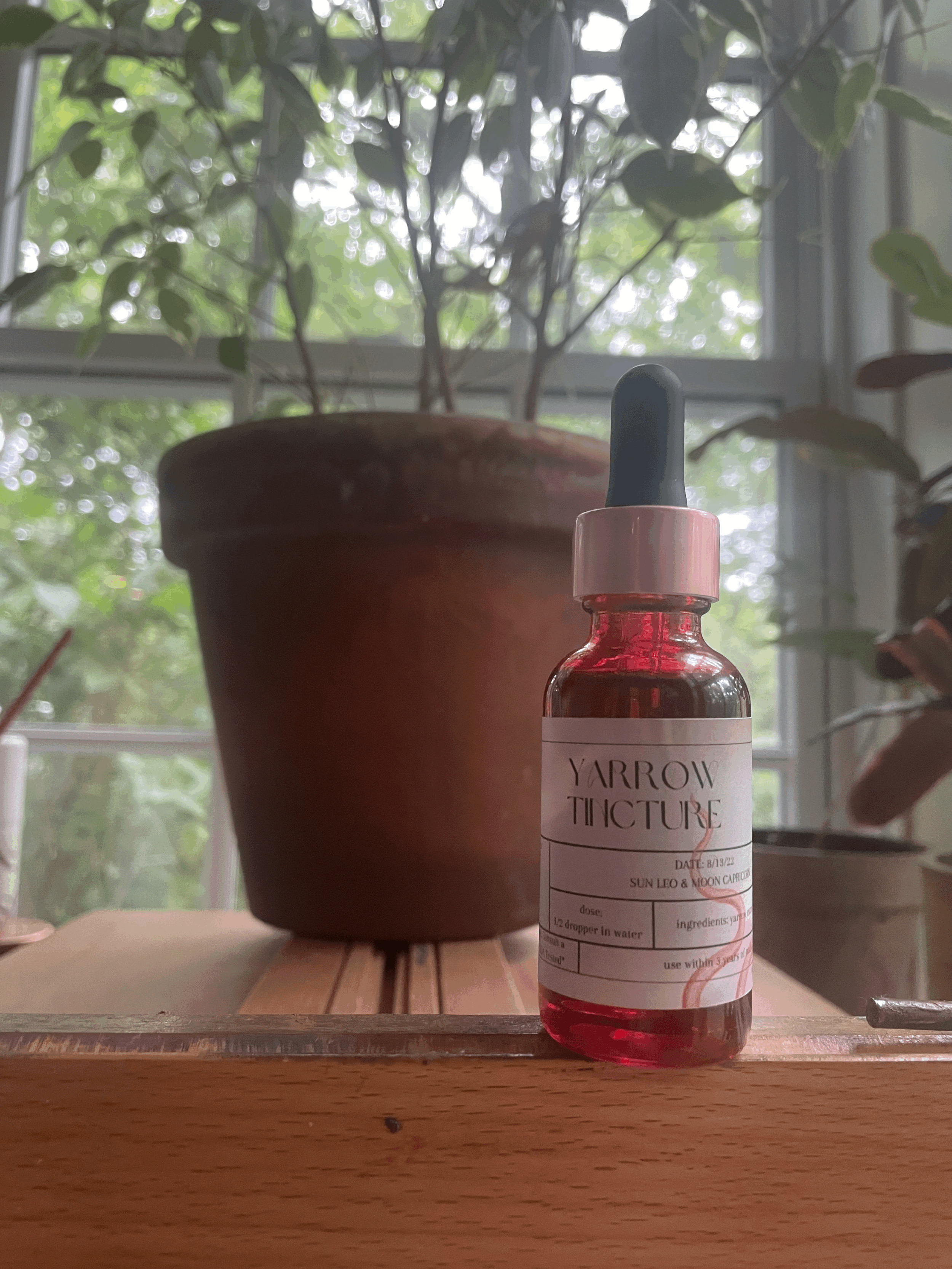 yarrow tincture