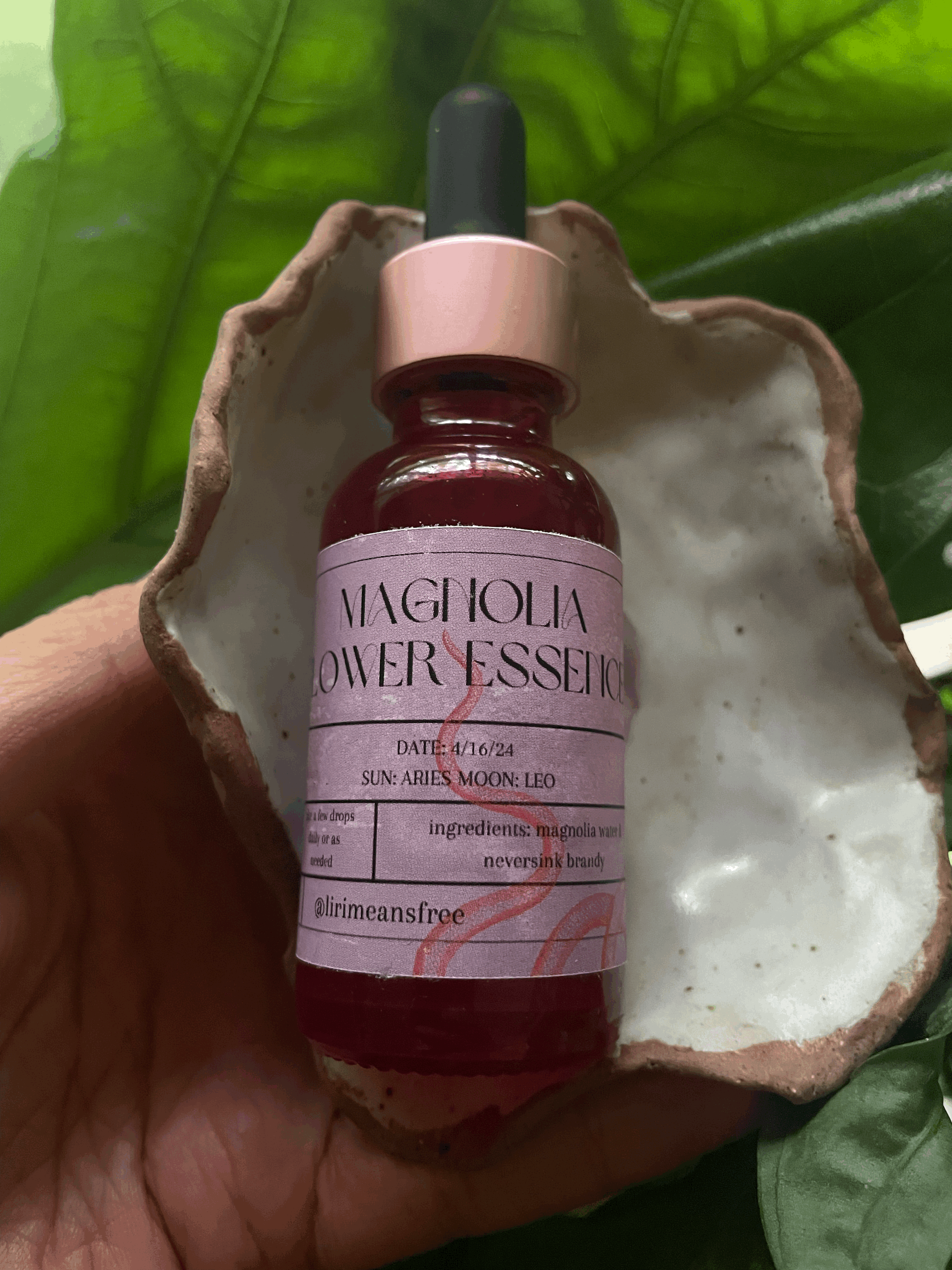 magnolia flower essence