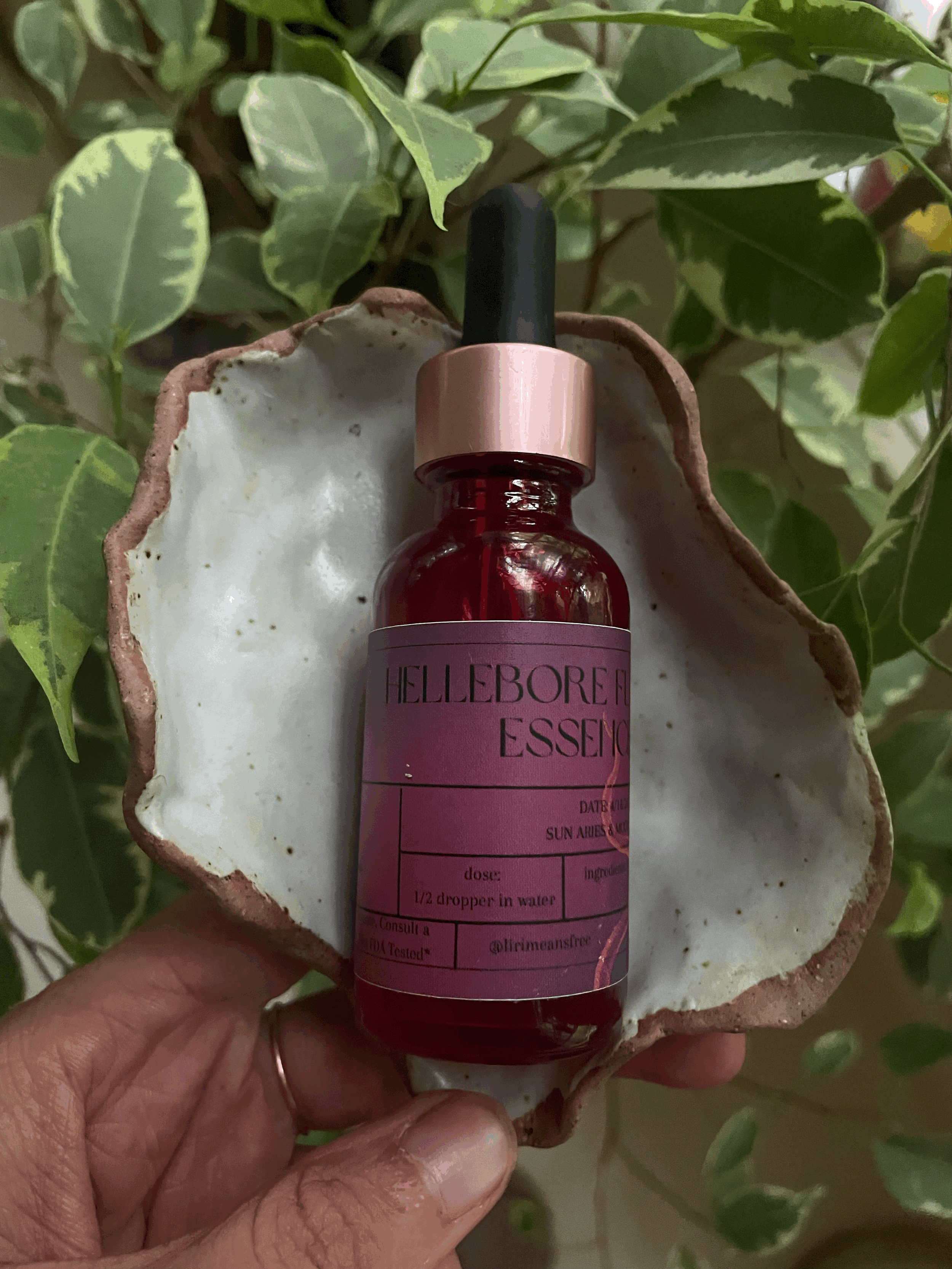 hellebore flower essence