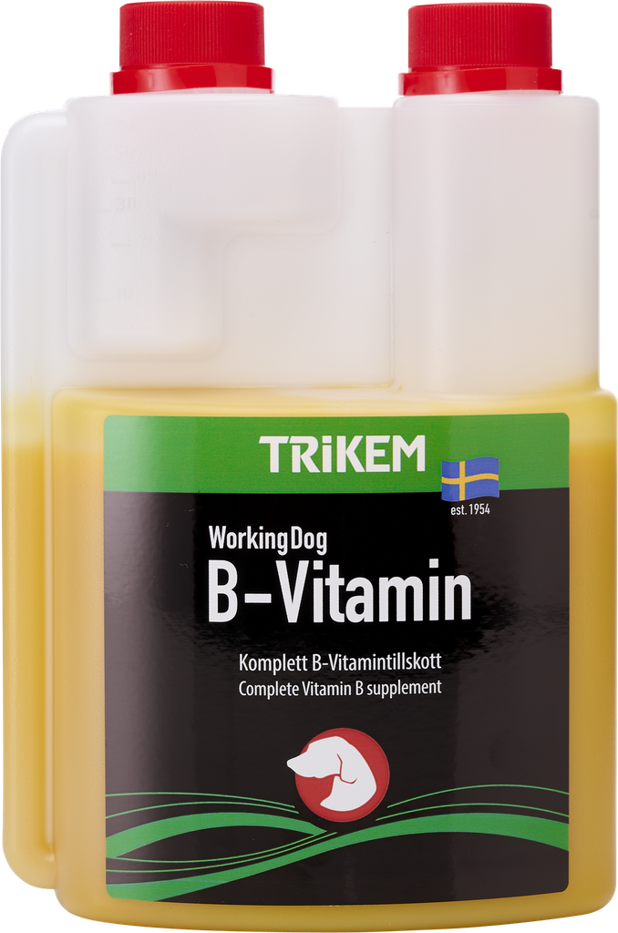 WorkingDog B-Vitamin