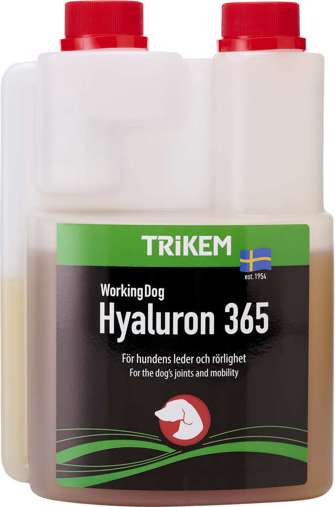 WorkingDog Hyaluron365