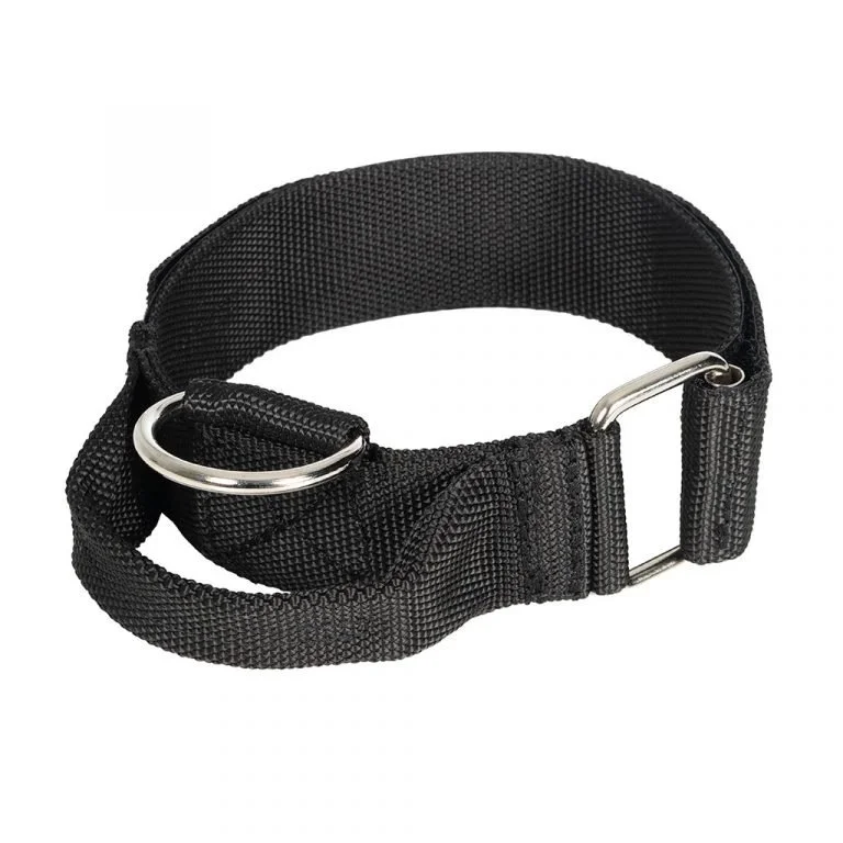 HALSBAND ”Raddog”