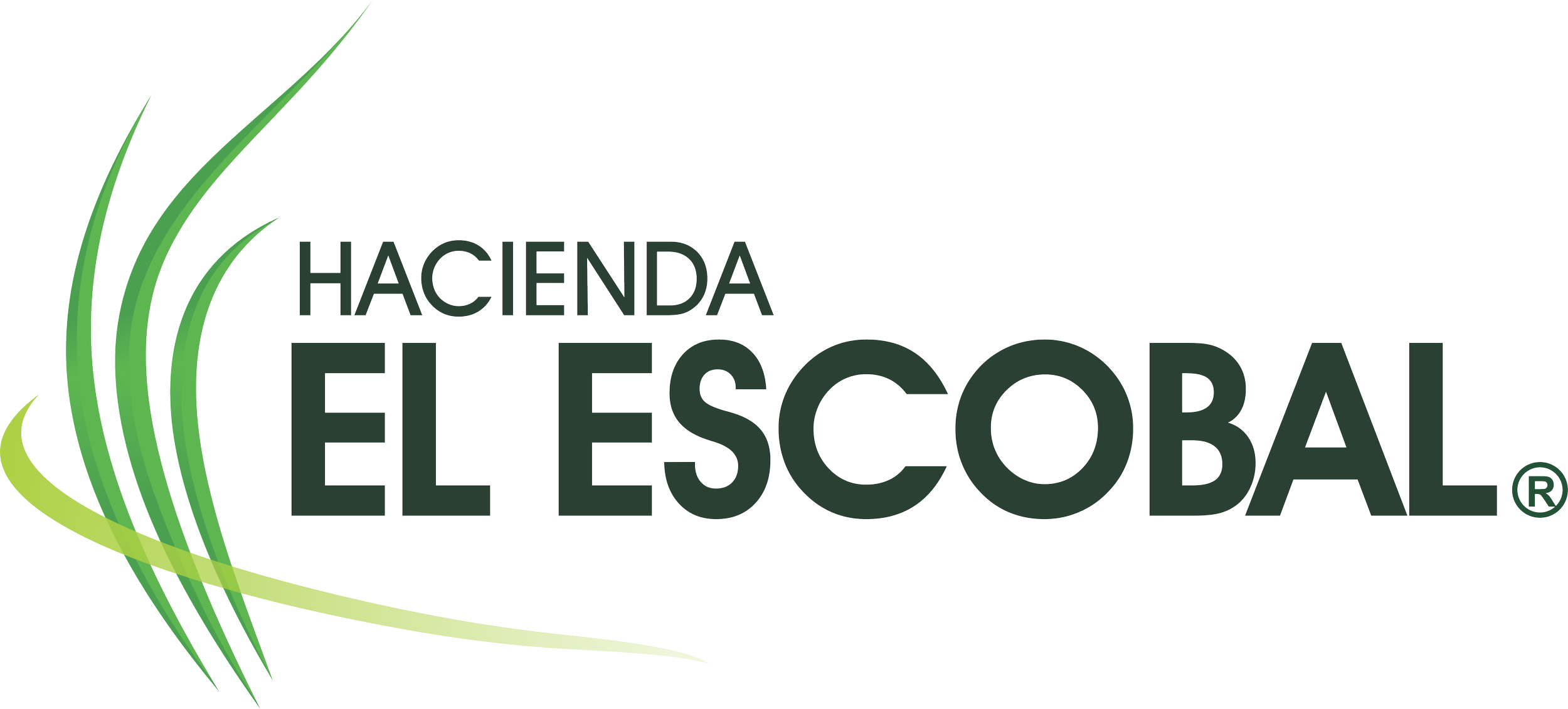 Escobal y Arriera.png