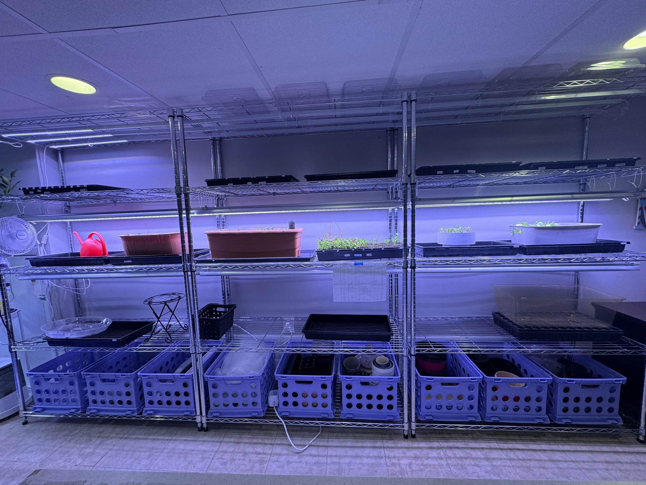 Completed Seed Starting area