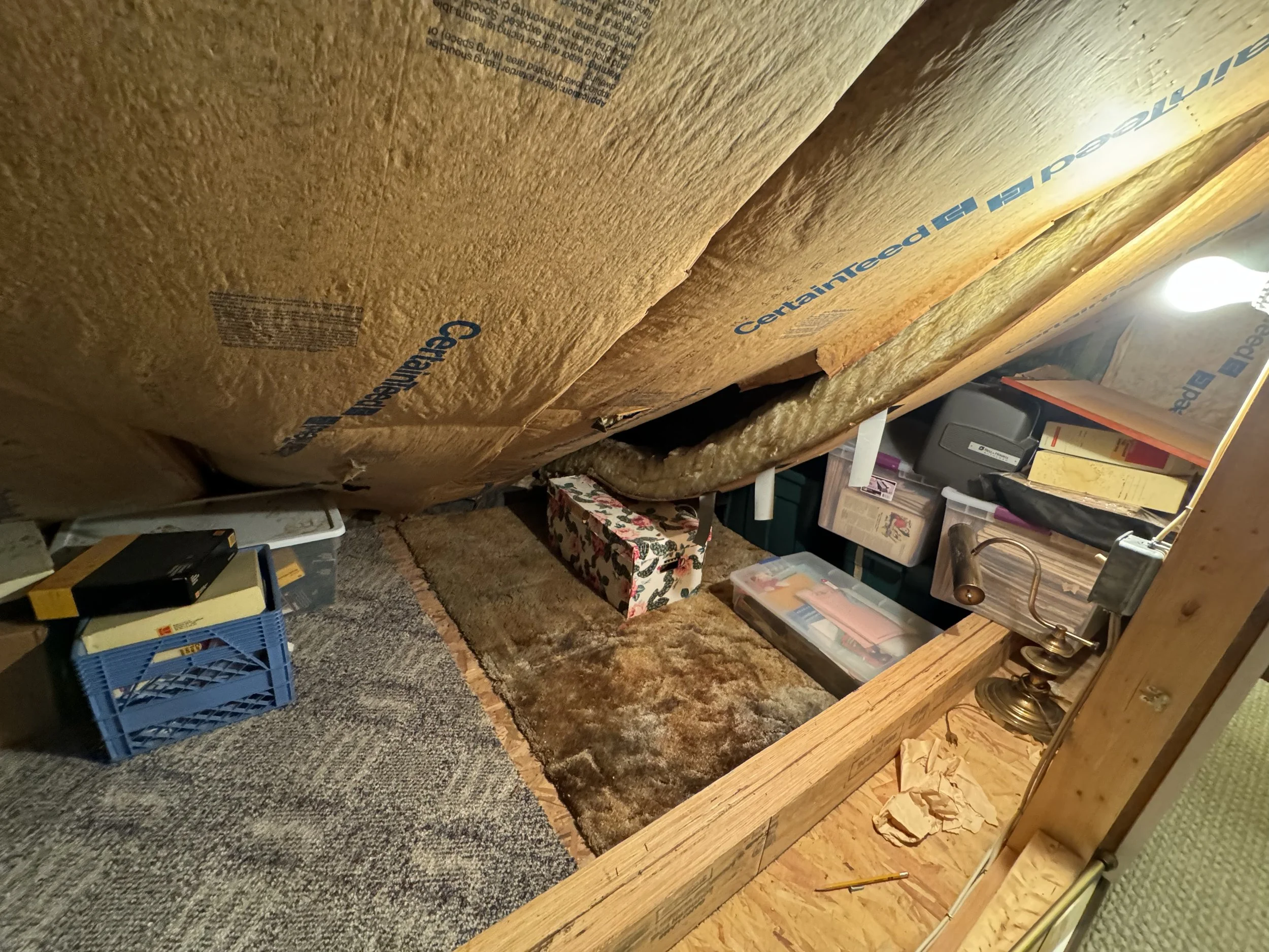 Before - After partial clear-out