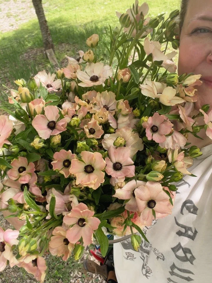 The overflowing armful harvests are the ones we dream about, amirite?! Ranunculus as a crop aren&rsquo;t the easiest to grow and can be a bit finicky, but once you get the hang of some of their needs they reward you with aaaaaall the blossoms. Butter