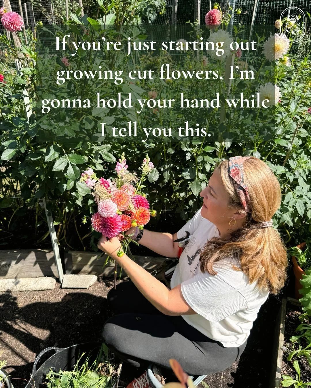 Some tough love for you today if you&rsquo;re just starting out growing cut flowers! And of course, the requisite reminder that if you simply can&rsquo;t bear to cut yours to enjoy on your table, a local flower farmer would love to help you out 😉 Co
