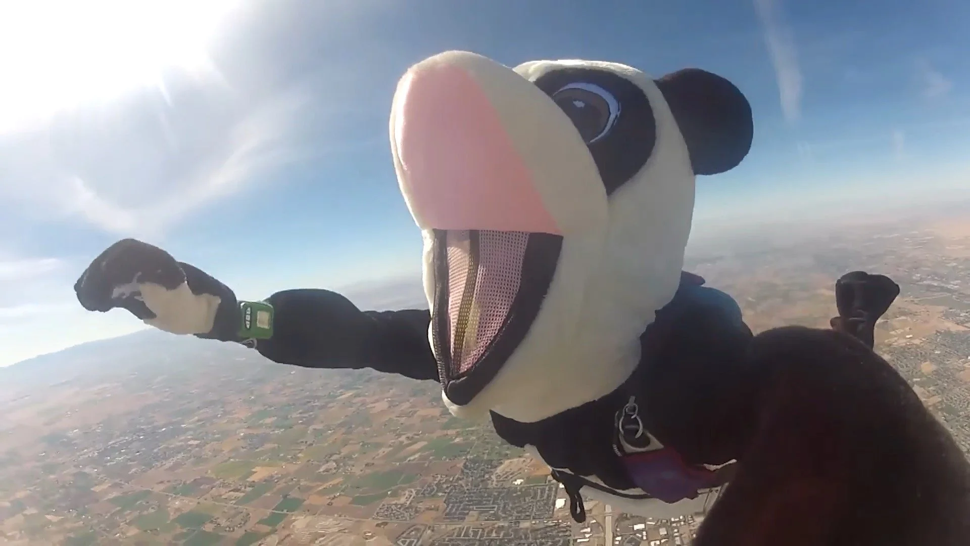 Hashtag the Panda in freefall during the demo skydive over the Farmstead corn maze, captured mid-jump above Idaho.