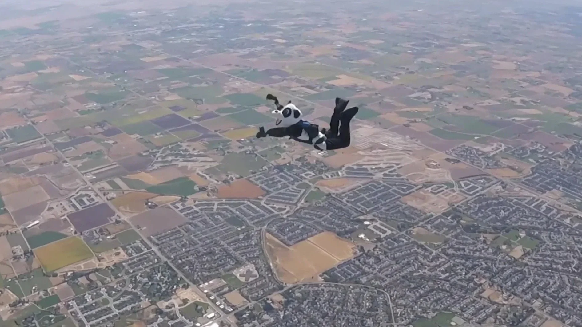 External view of Hashtag the Panda in freefall during the demo skydive over the Farmstead corn maze, captured from another jumper’s perspective.