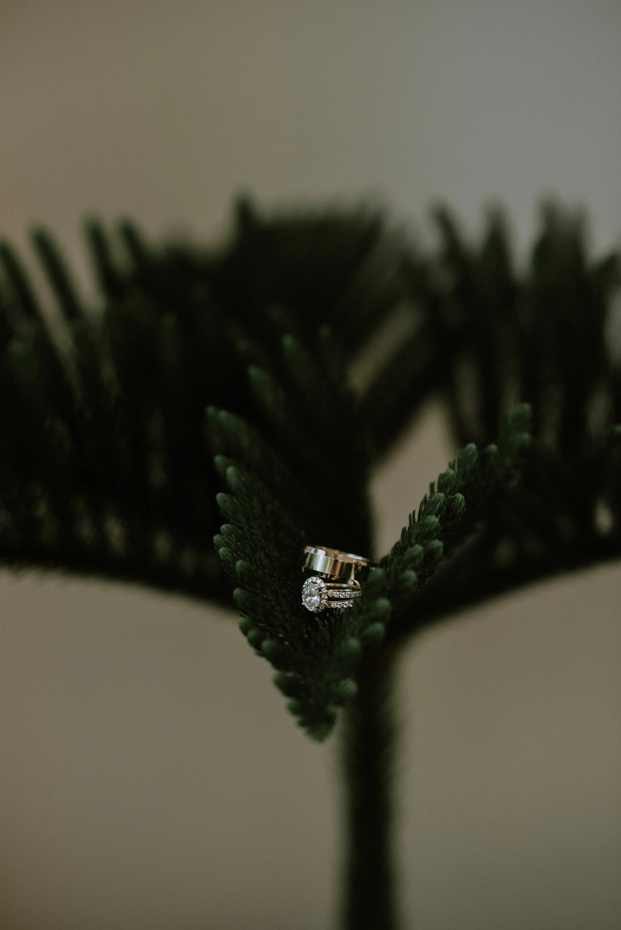 DLP_26MAY23_VenturaWedding-119.jpg