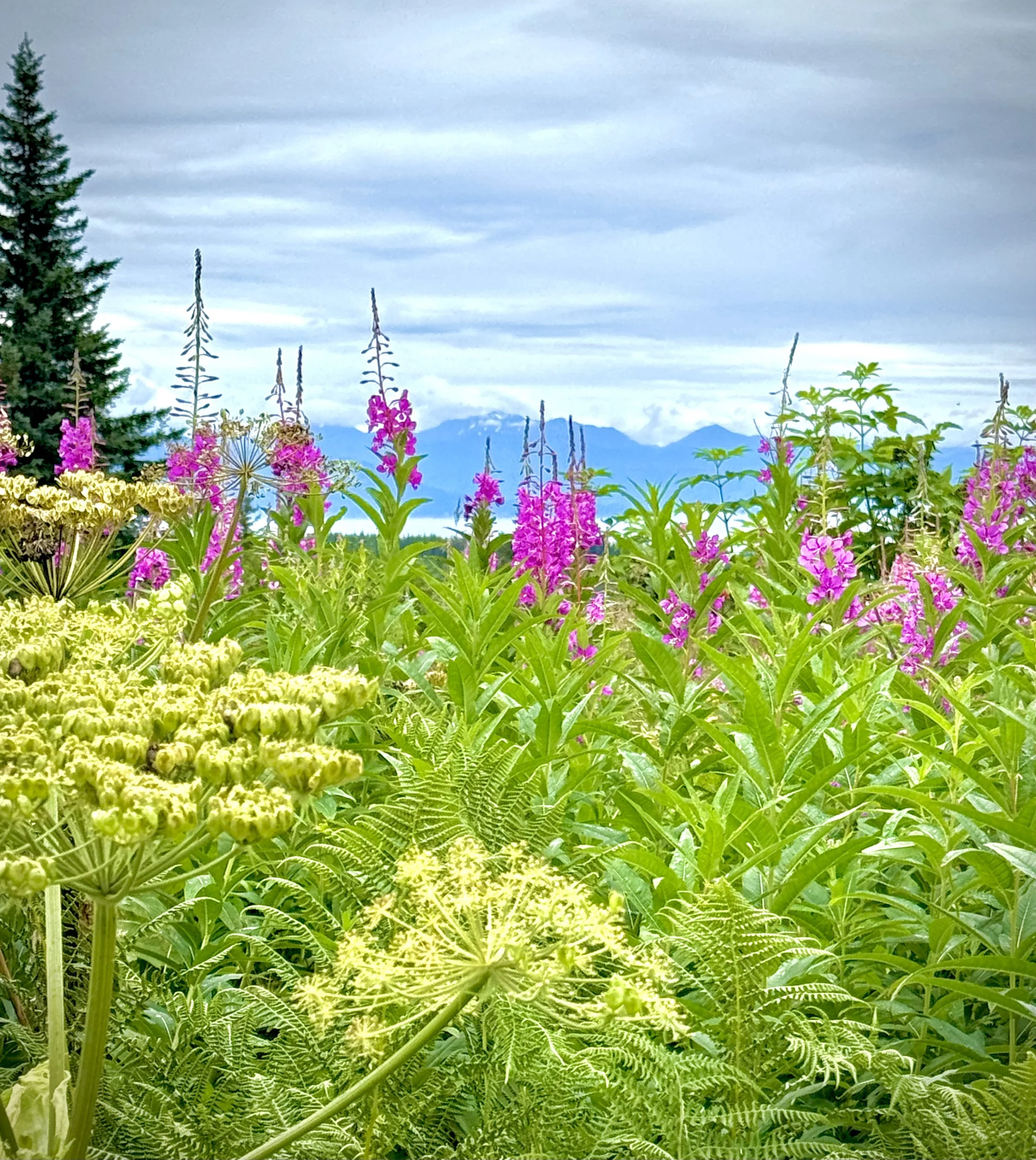 Why I’m So Passionate About Hosting Retreats