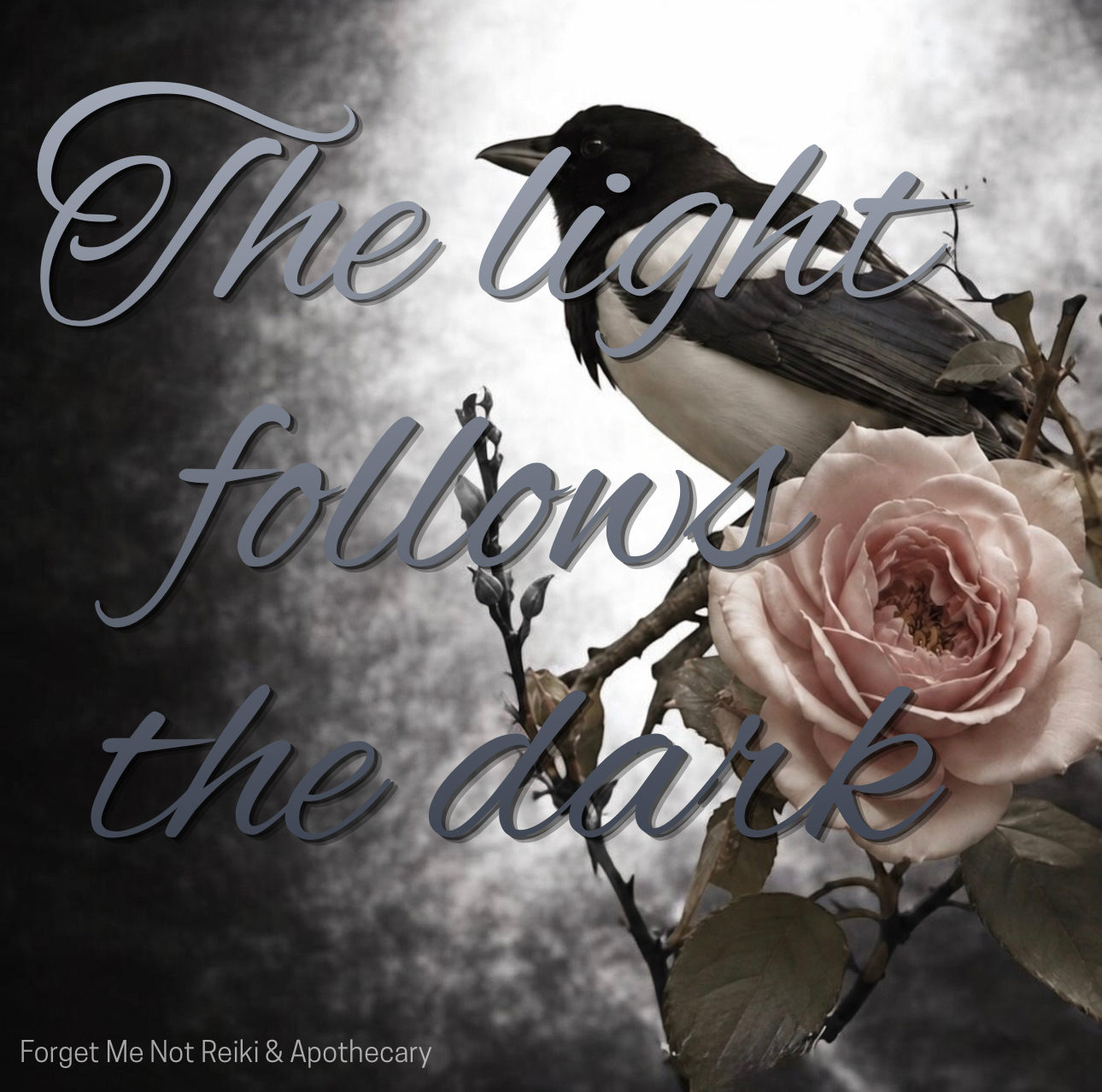 The Light Follows the Dark