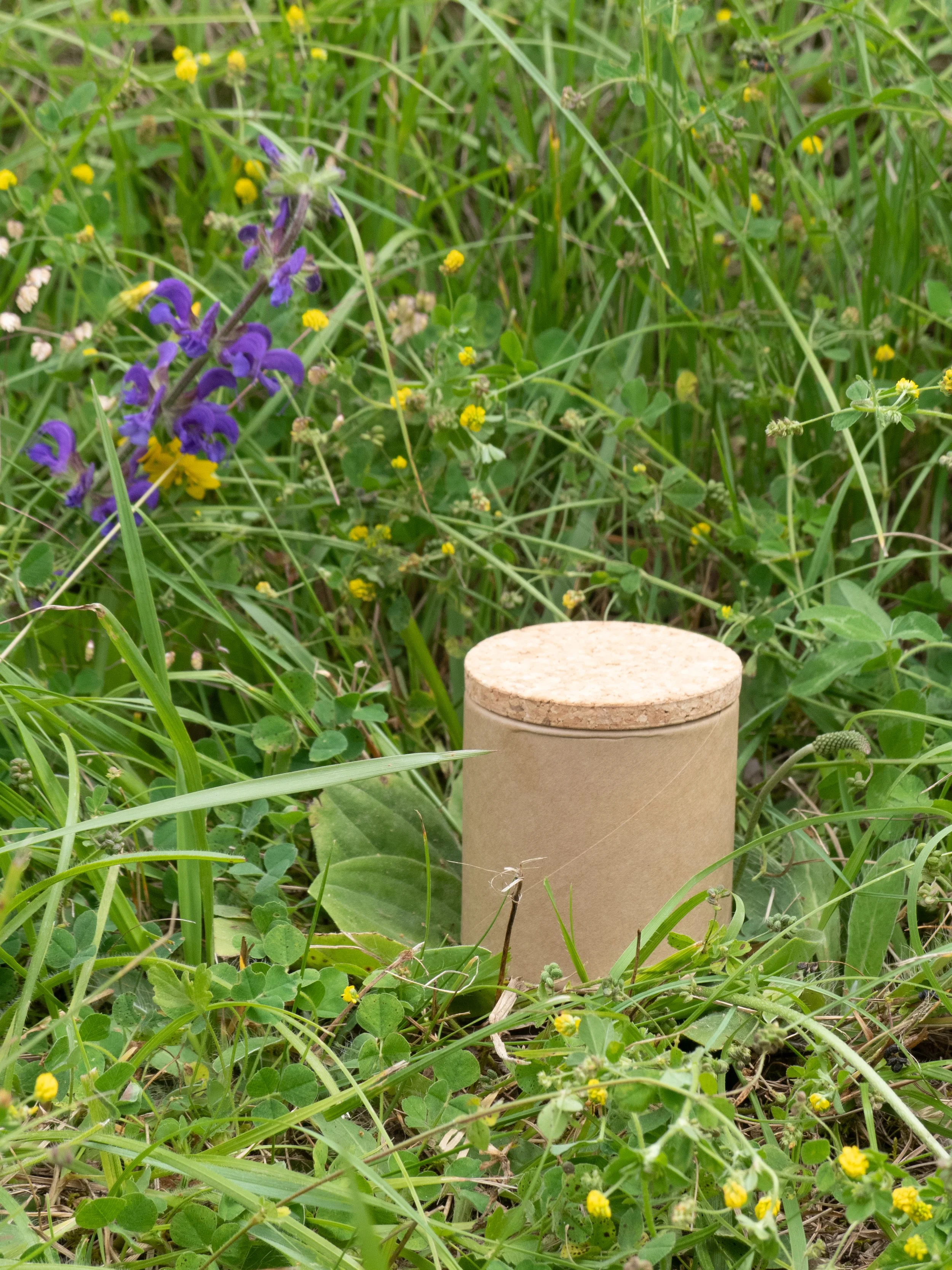 sels aux herbes.jpg