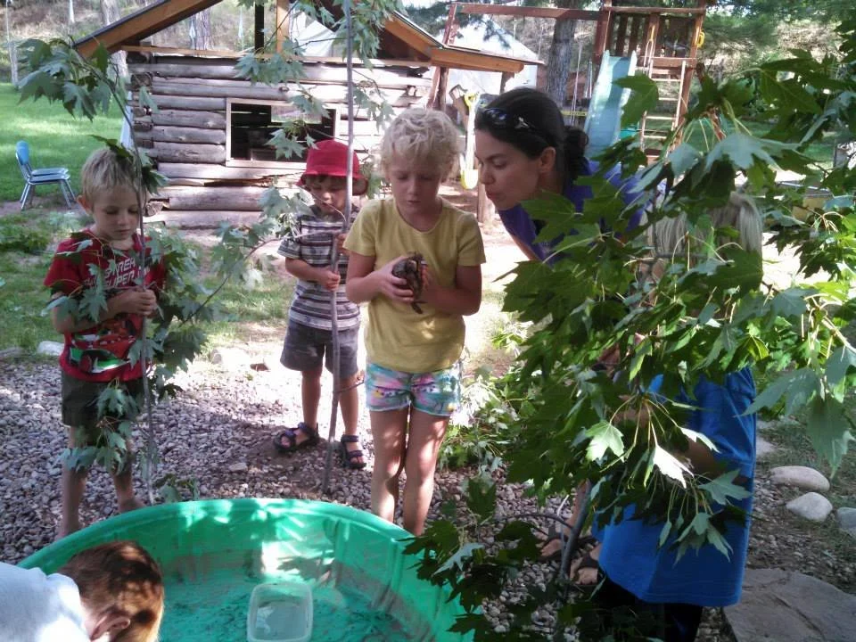 Sego Tigers playground.jpg