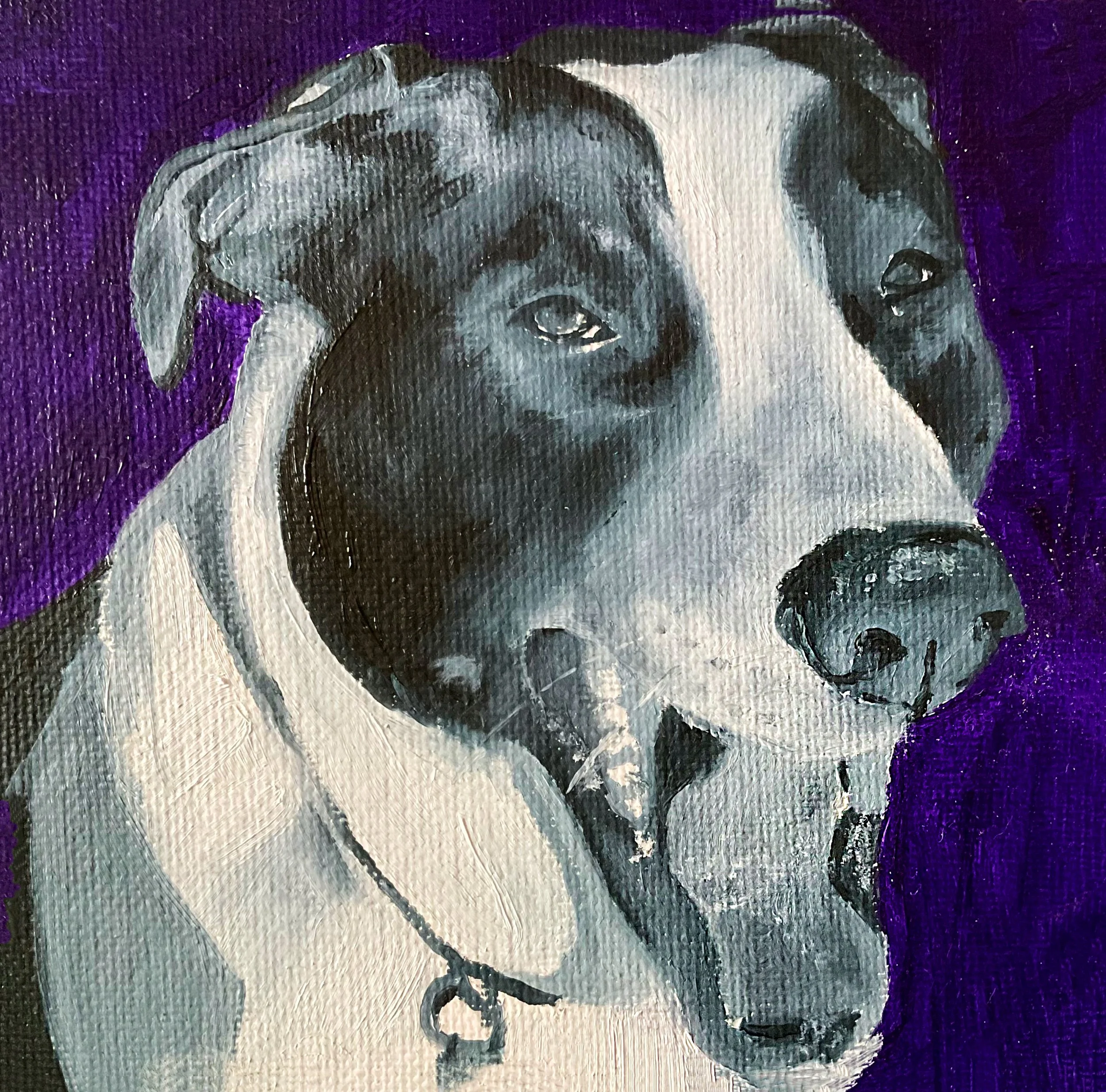 "Lula - Happy"
5" X 5"
Oil
(2024)
$ 75 - SOLD
