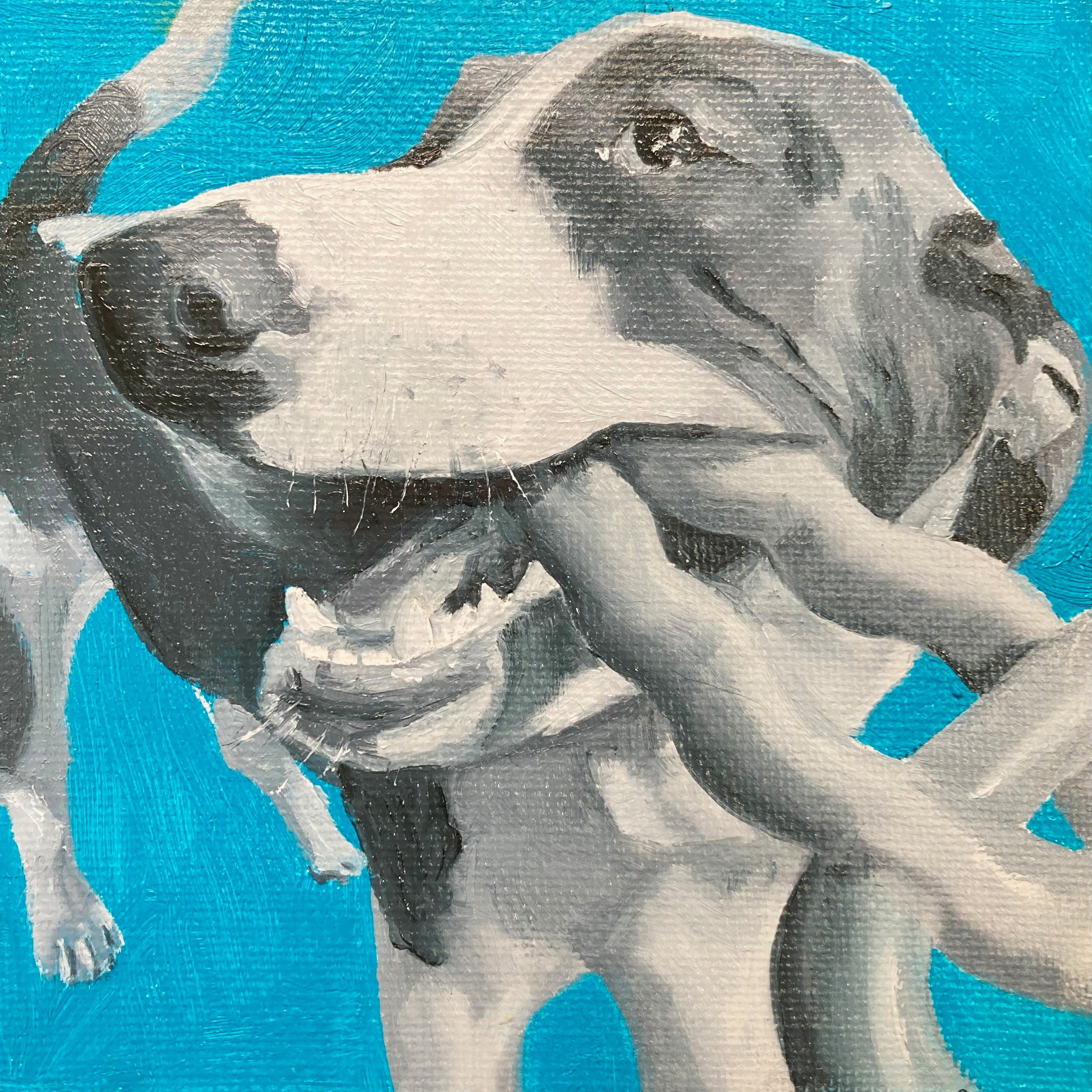 "Lula - Playful"
5" X 5"
Oil
(2024)
$ 75 - SOLD