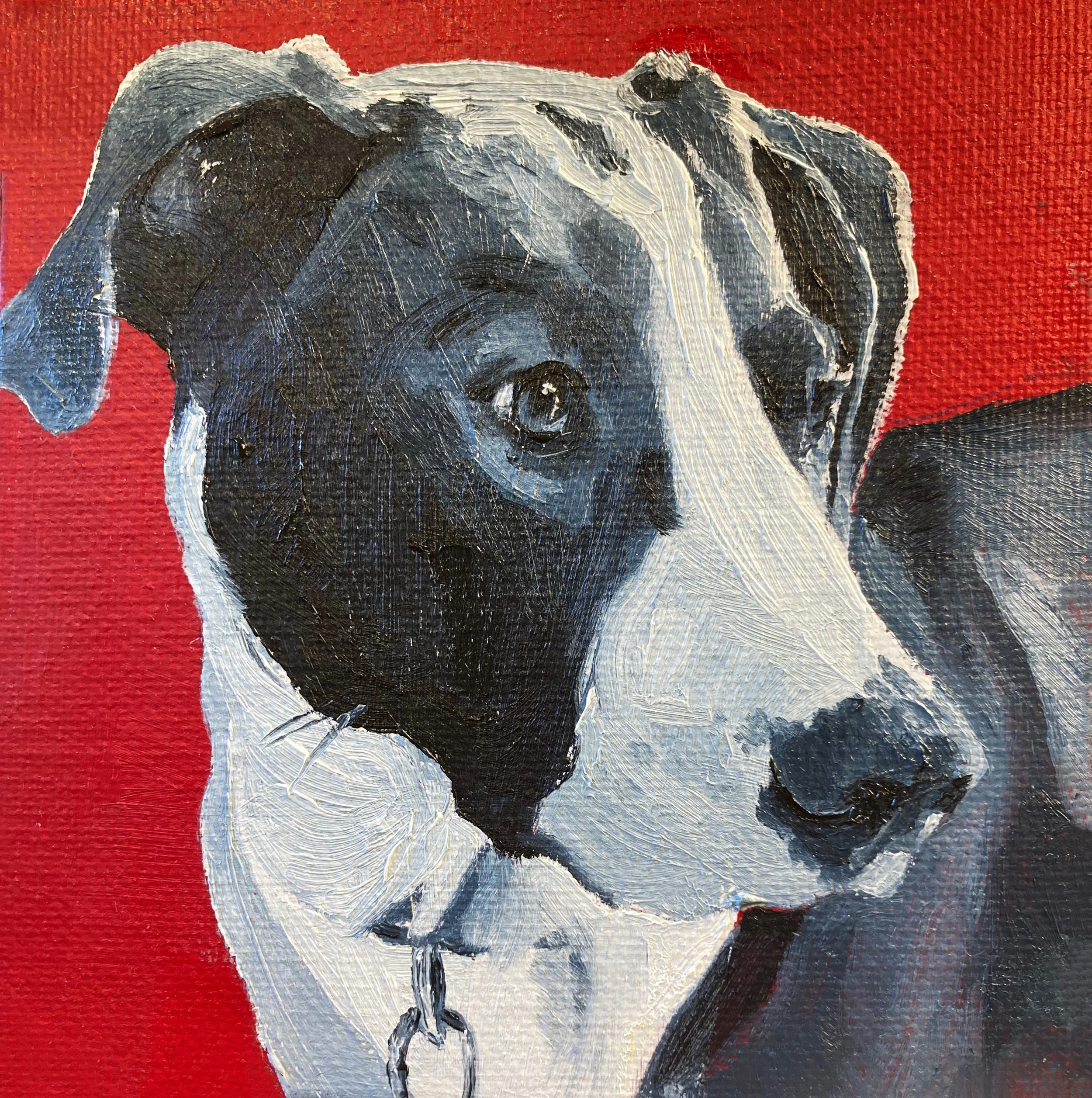 "Lula - Curious"
5" X 5"
Oil
(2024)
$ 75 - SOLD