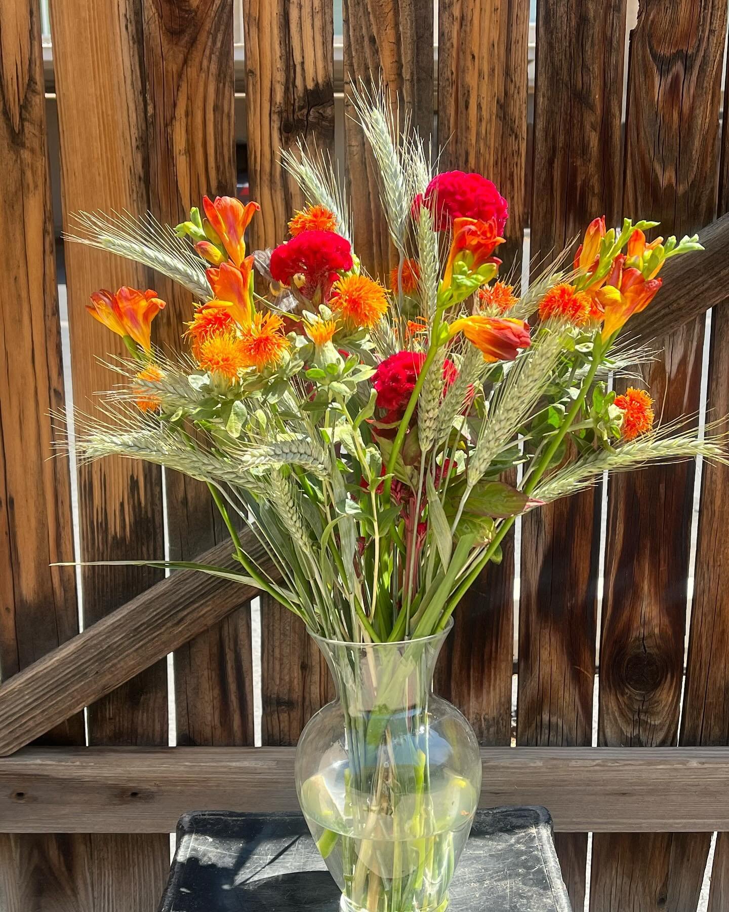 Getting ready for Fall. Can&rsquo;t come soon enough. Local Scottsdale area folk - if you like this it can be yours. Please DM me.  #scottsdaleflowers  #scottsdaleflorist