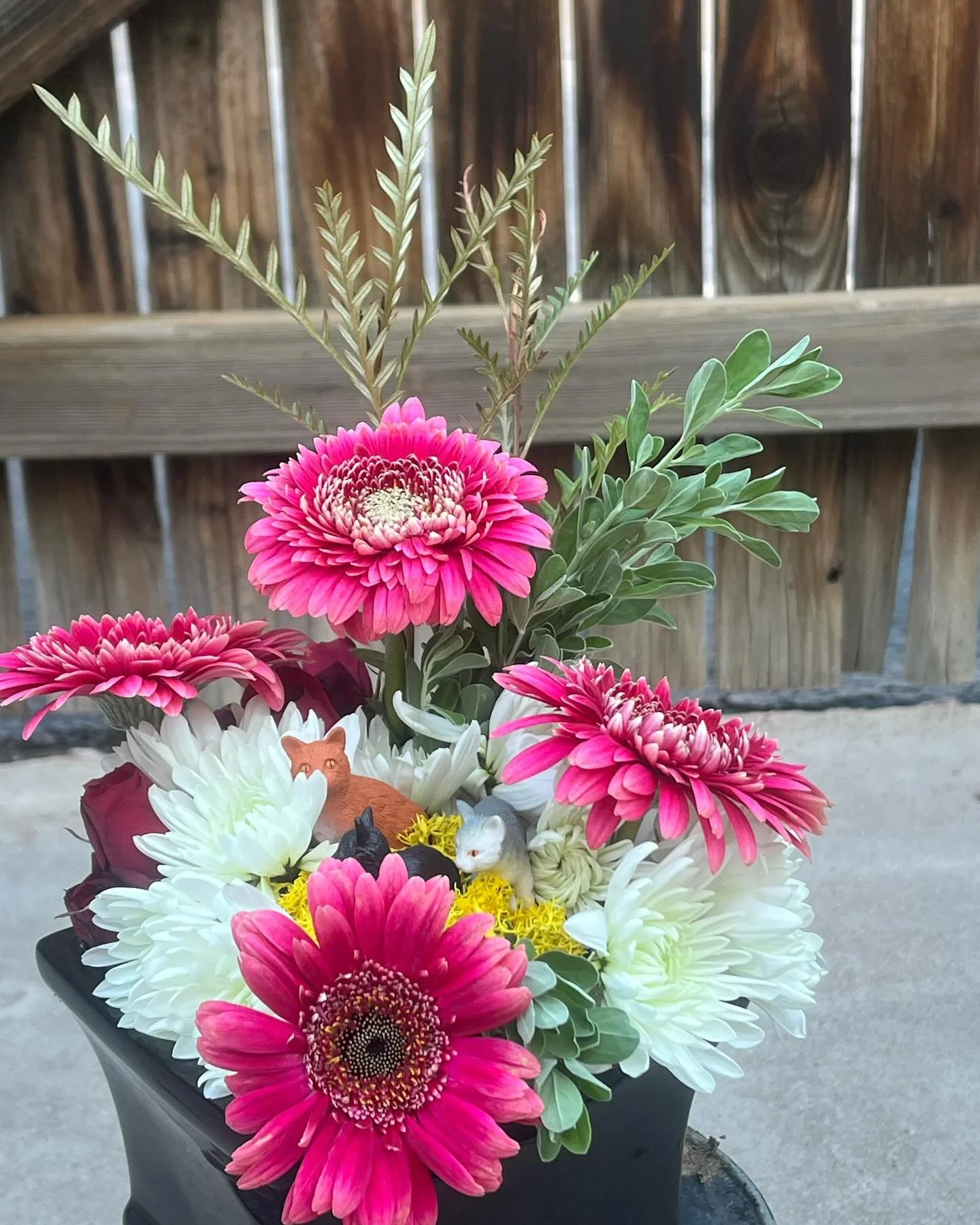 It&rsquo;s all about the cats!