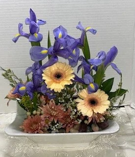 iris garden.jpeg