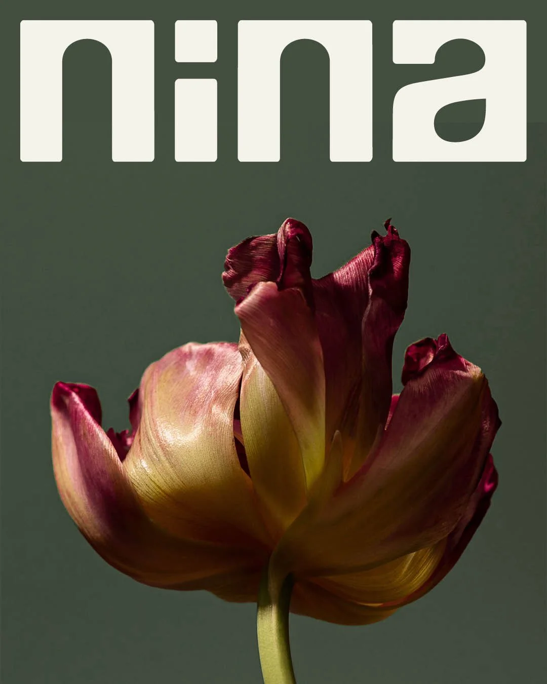 nina launch 6.jpg