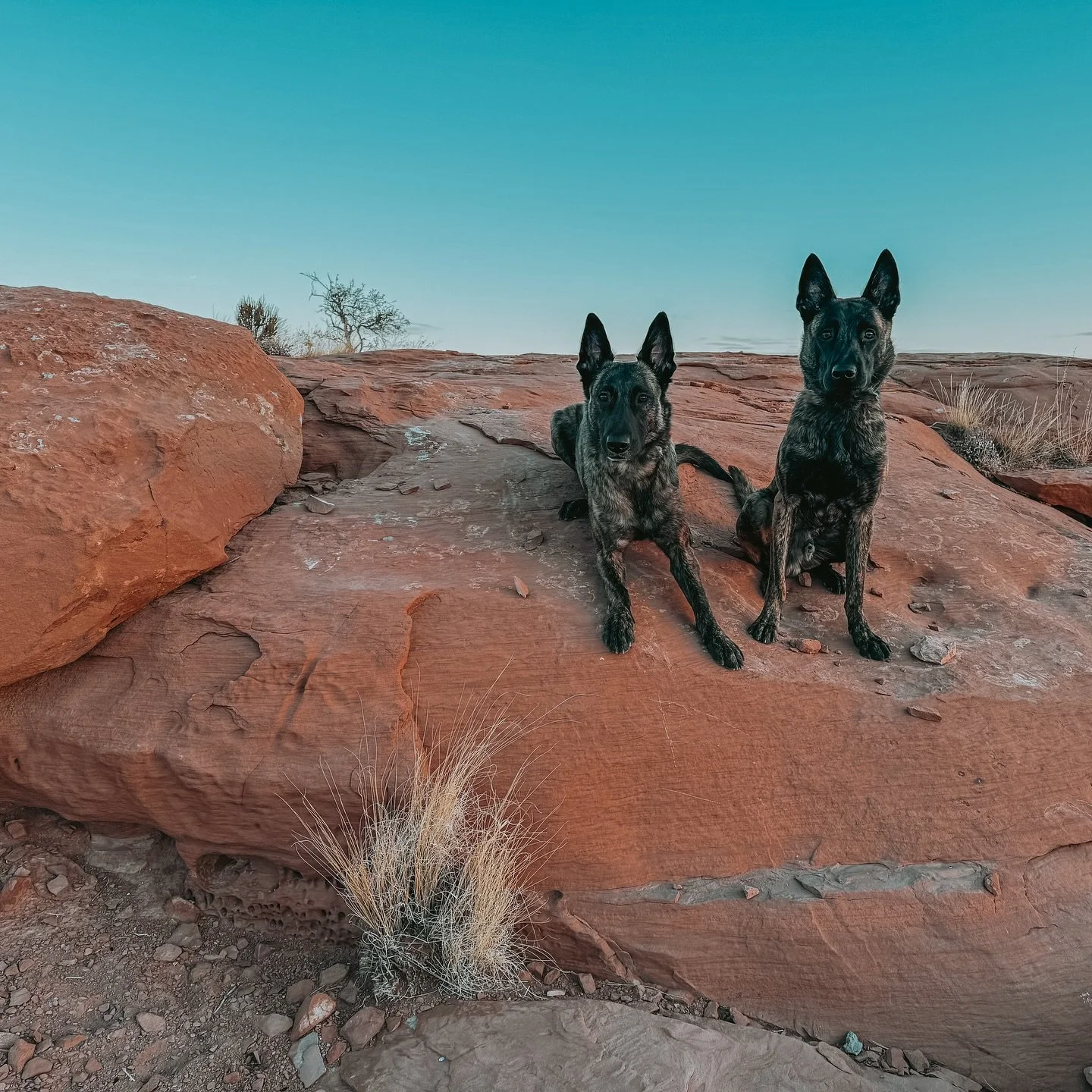 standing on a corner in Winslow, Arizona &mdash; such a fine sight to see
