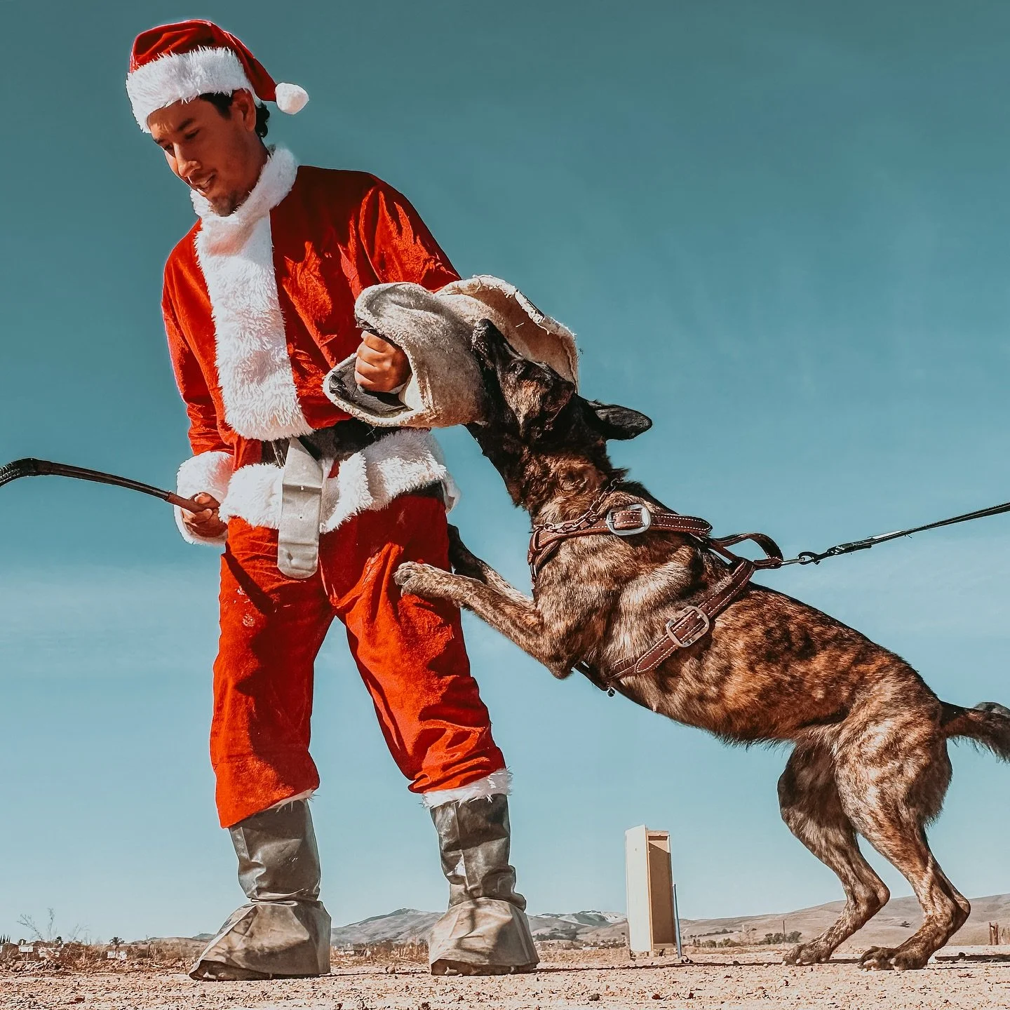 I saw Rosi biting Santa Claus 🎄

Channeling your dog&rsquo;s natural drive is the secret weapon to resolving behavior issues and creating a well-rounded companion. Dogs thrive when they have a job to do&mdash;something that aligns with their instinc