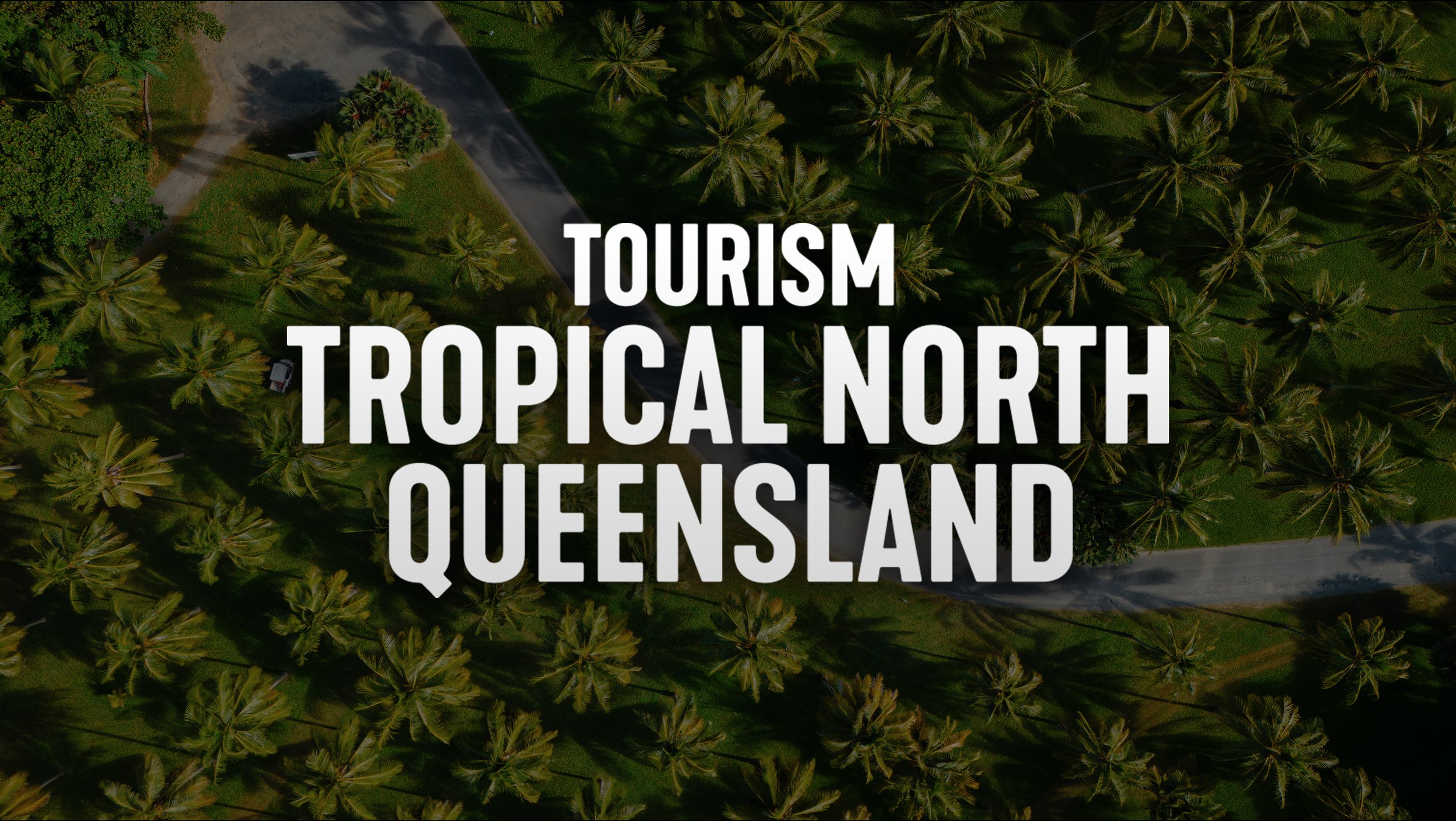 Aerial view of a tropical landscape with many palm trees and a small road, overlaid with text that reads "Tourism Tropical North Queensland".