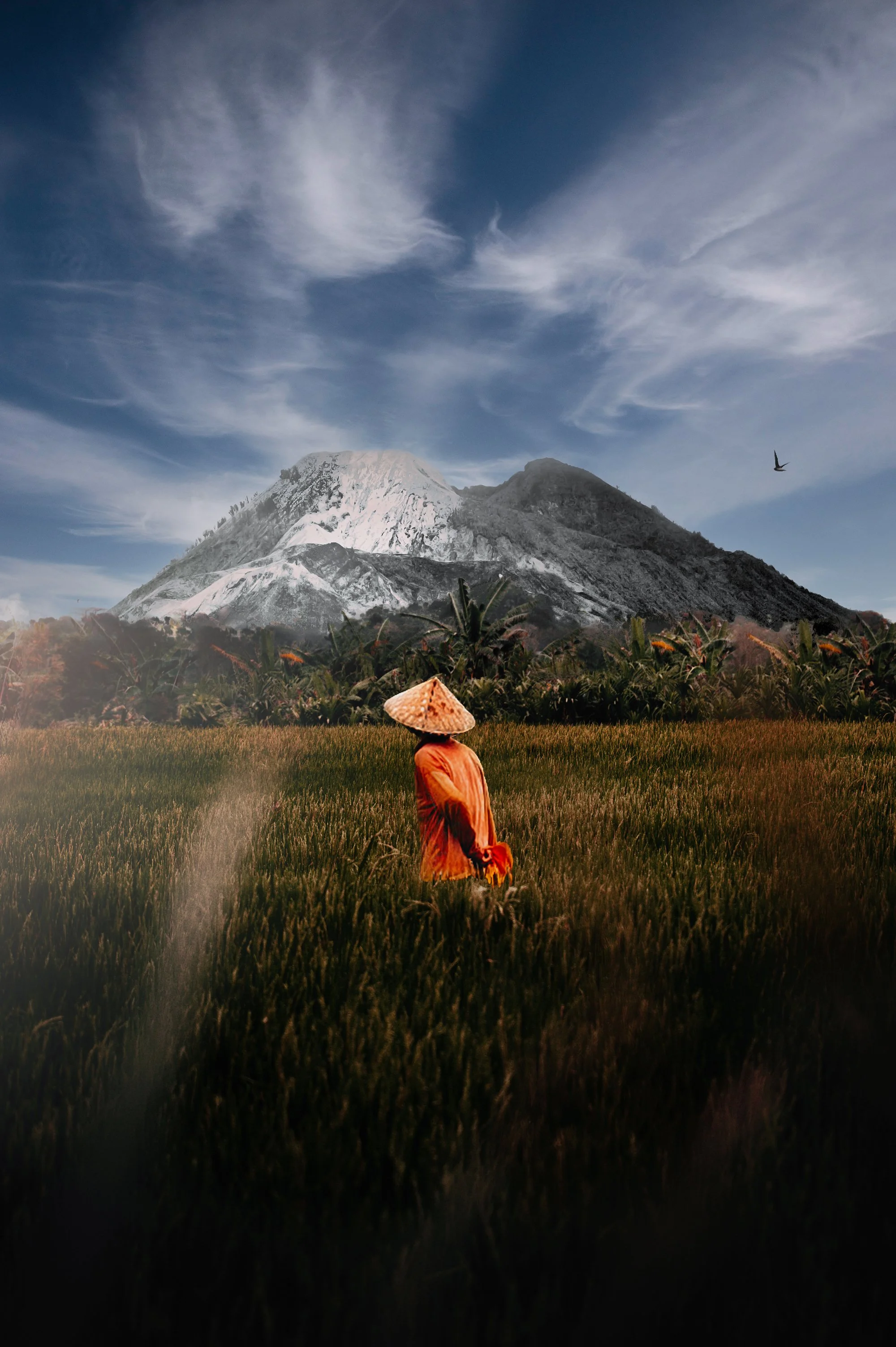 RICEFIELDS WALK Portrait - Updated.jpg