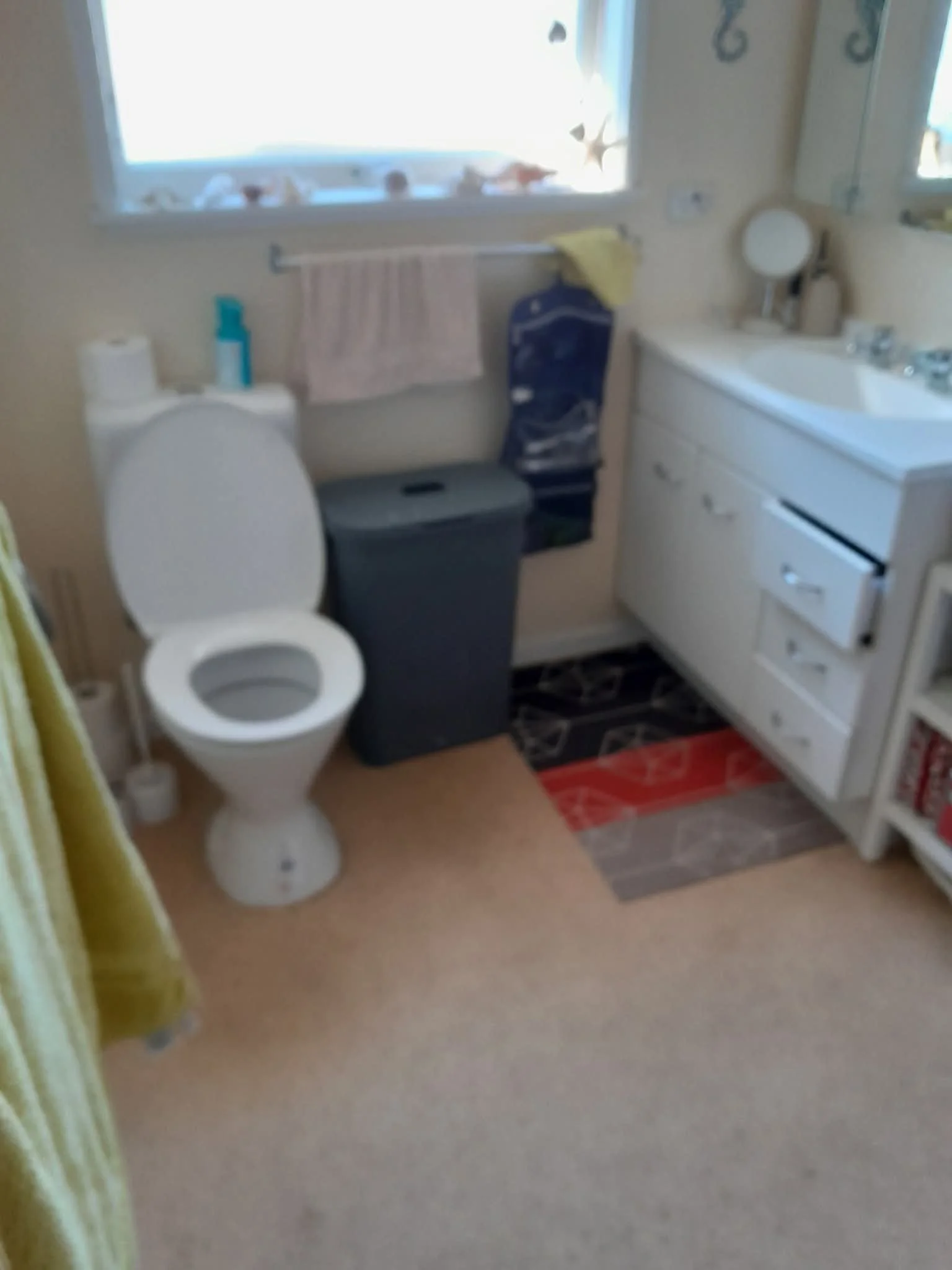 The old wet room before our renovation
